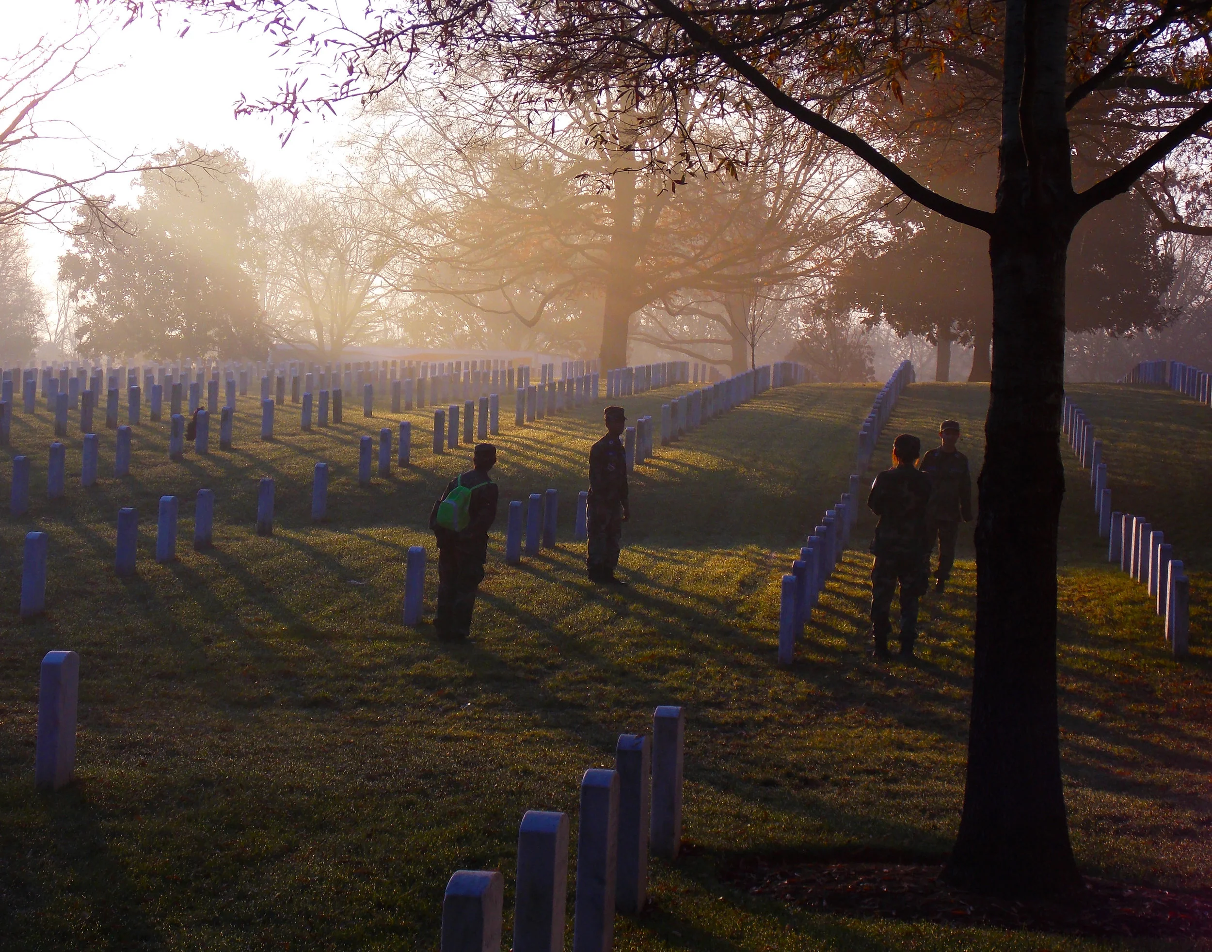 “Arlington: Above and Below,” photography. Framed print available, please inquire.