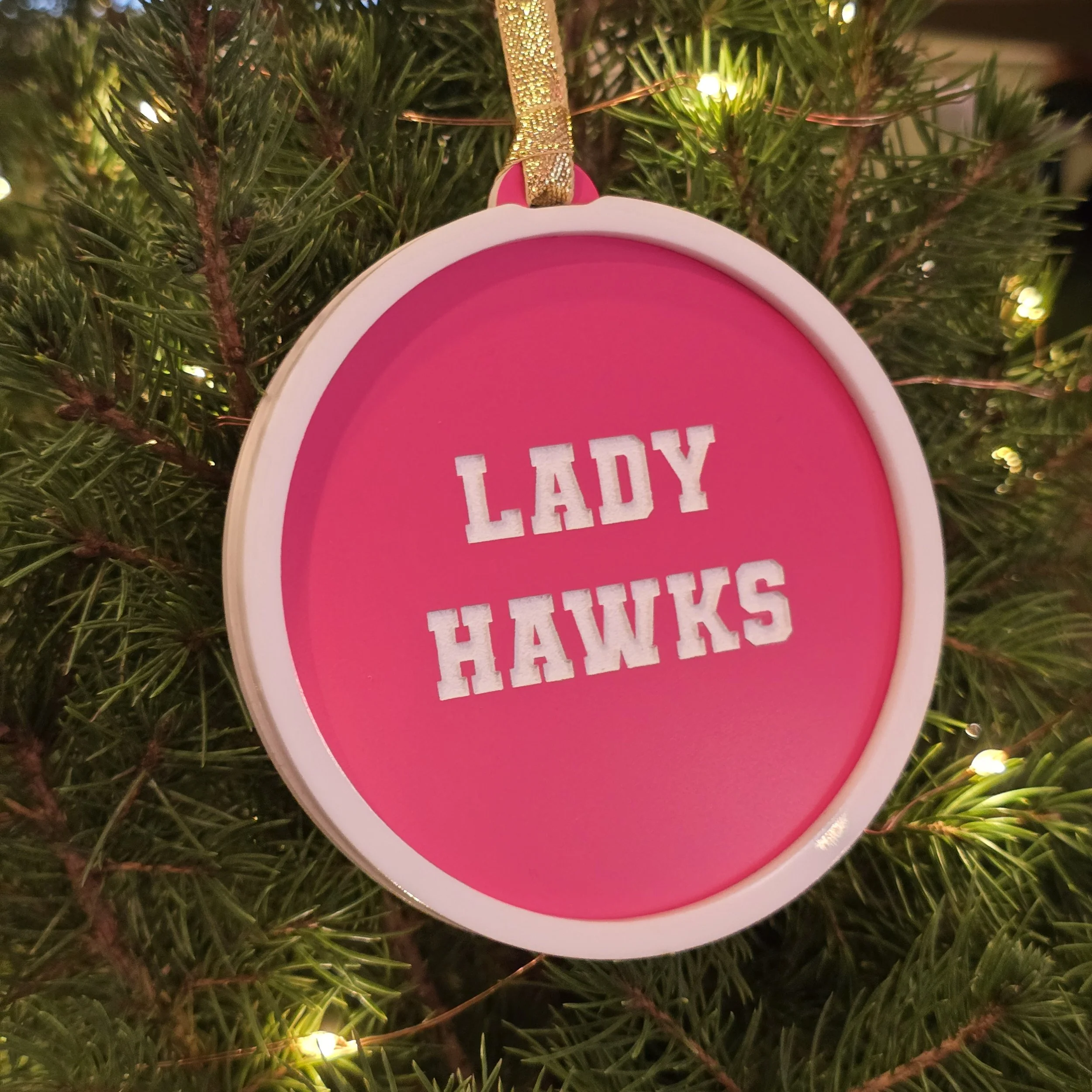 Lady Hawks reverse styled 1.jpg