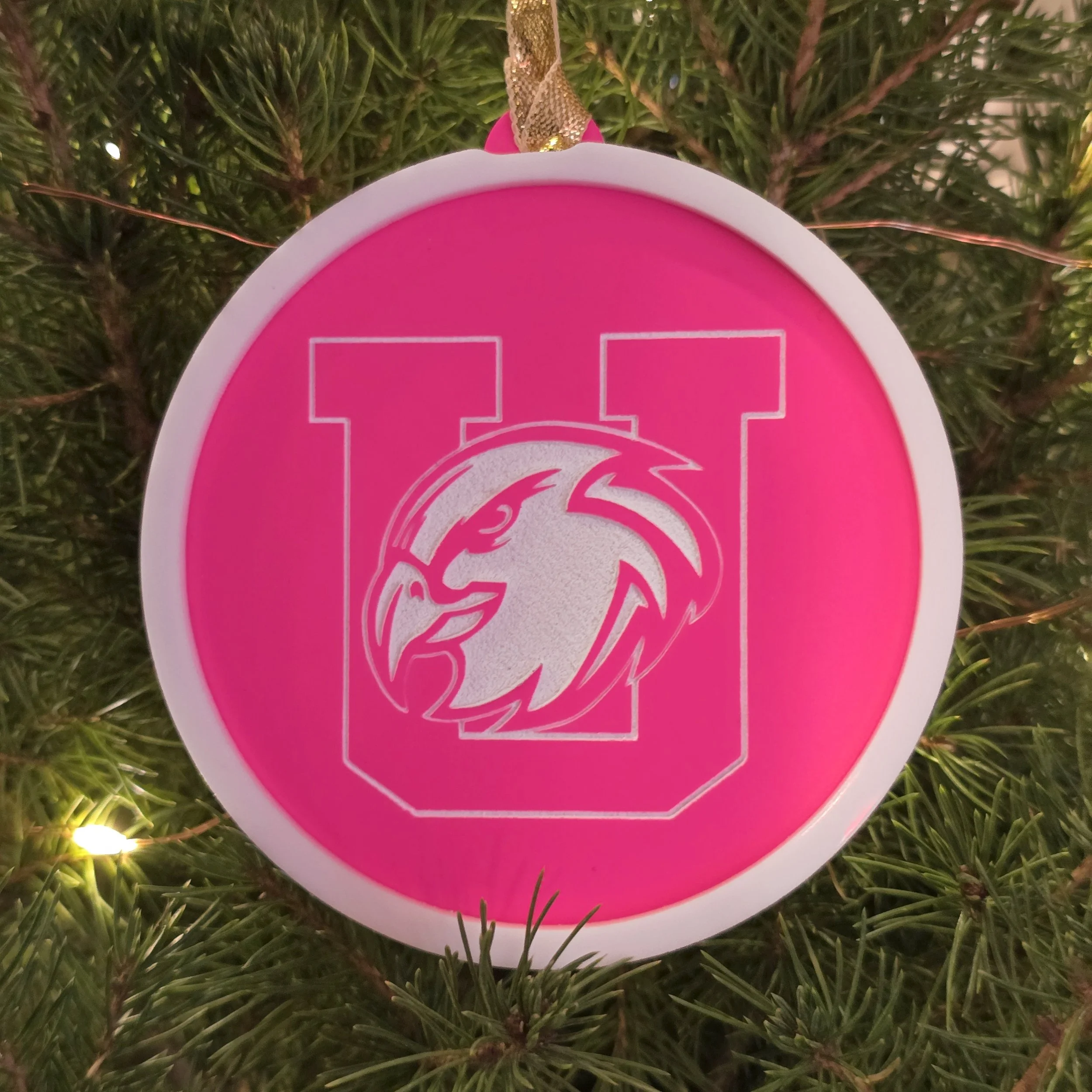 Lady Hawks front styled 1.jpg
