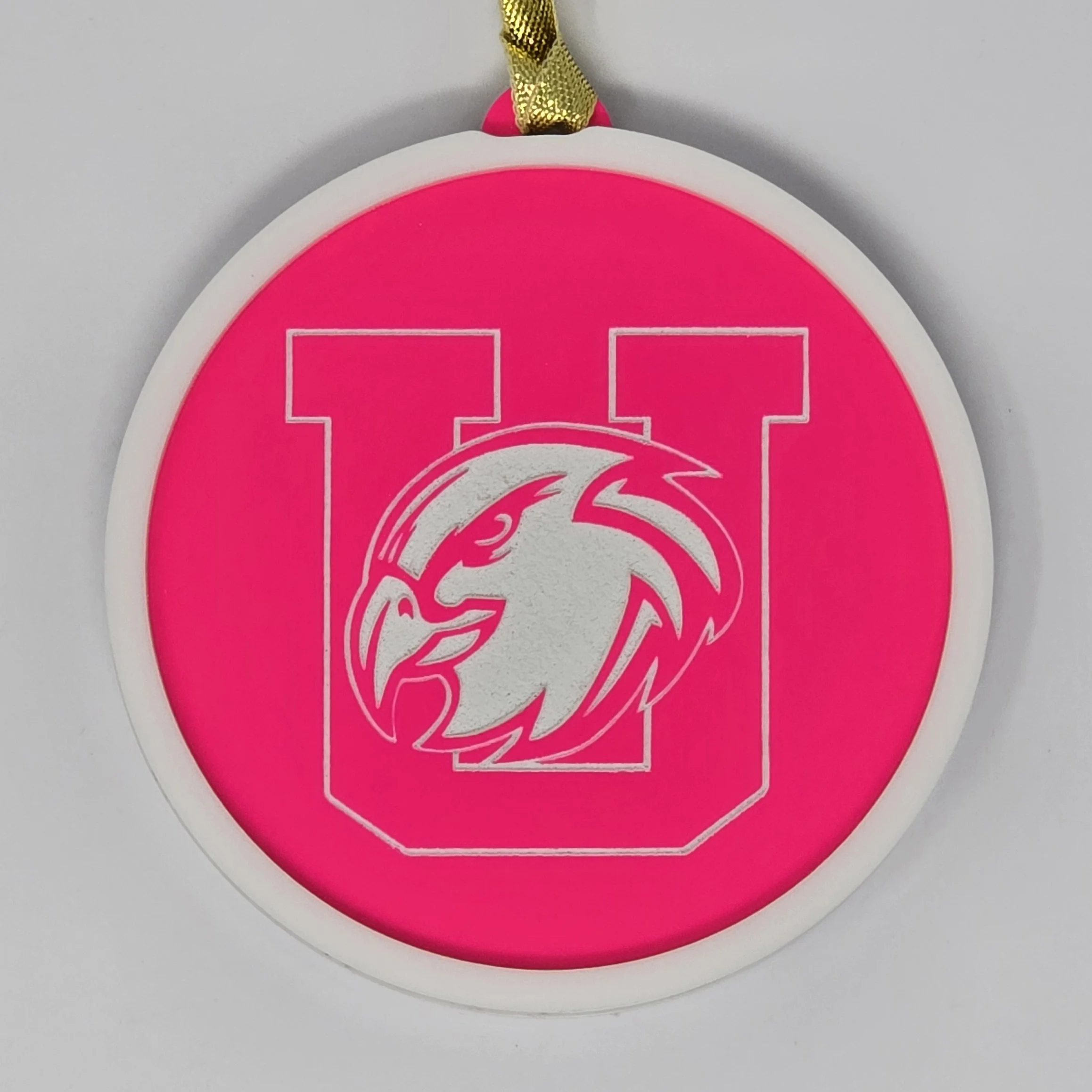 Lady Hawks front main.jpg