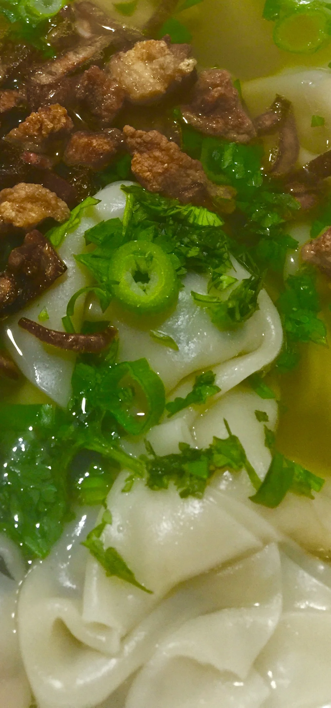 Wontons are what's up