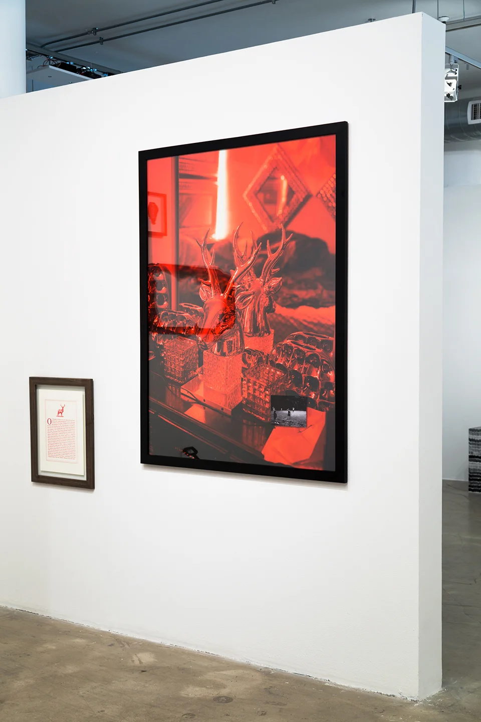 Red Room | Black Views, 2016 (installation View)
