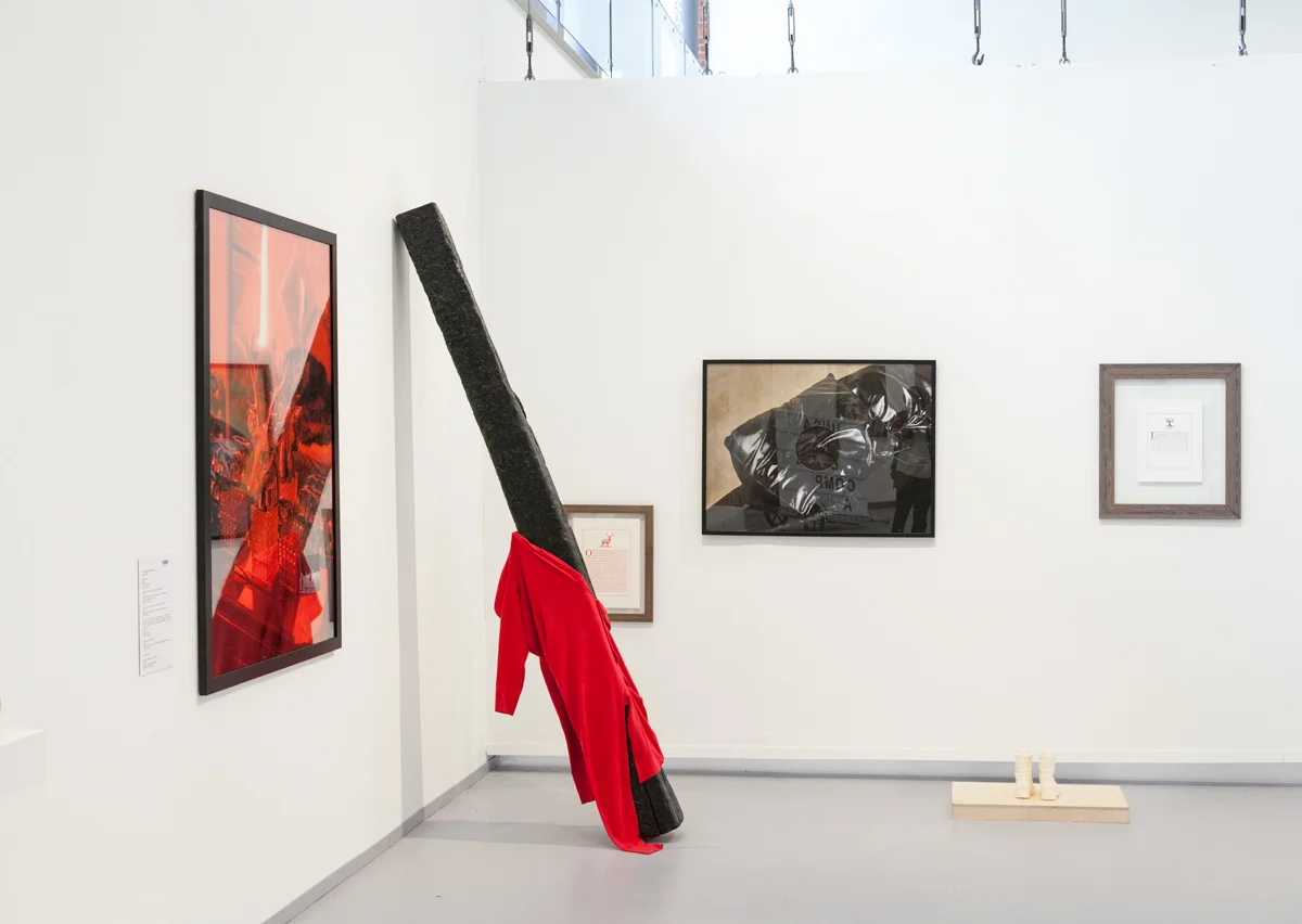 Red Room | Black Views, 2016 (installation View)