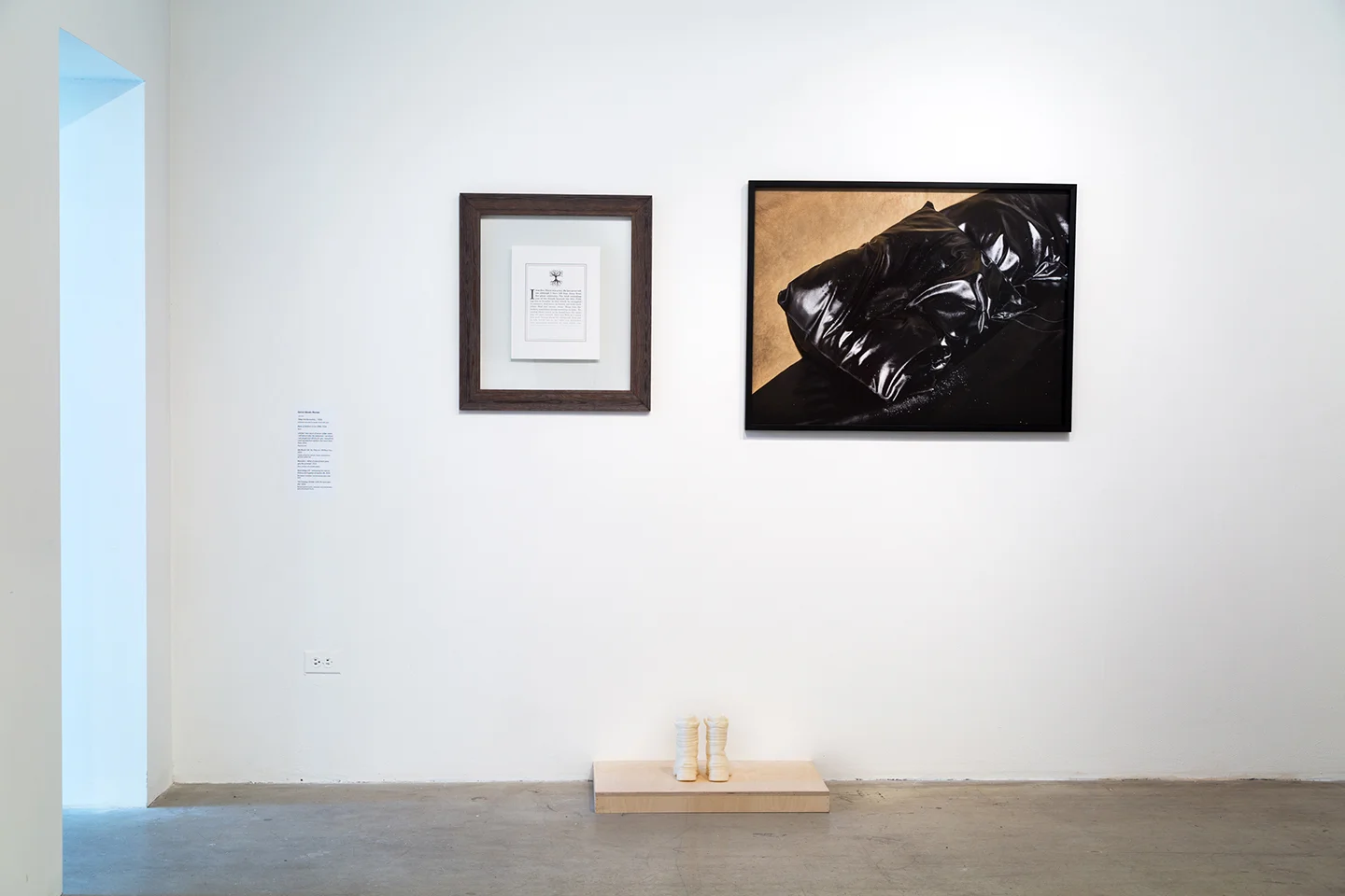Red Room | Black Views, 2016 (installation View)