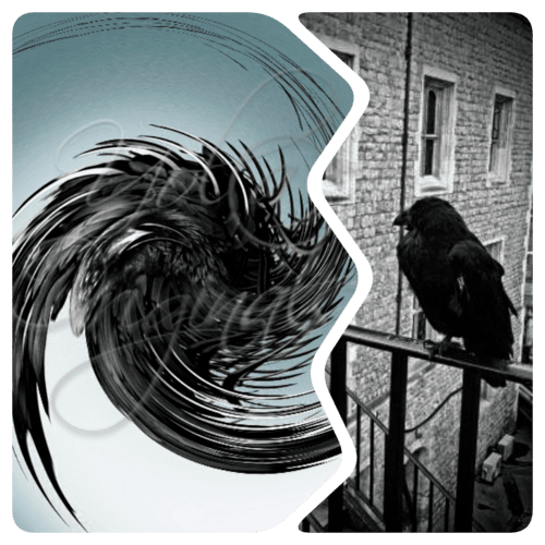 Guardians of the Tower - Raven Collage