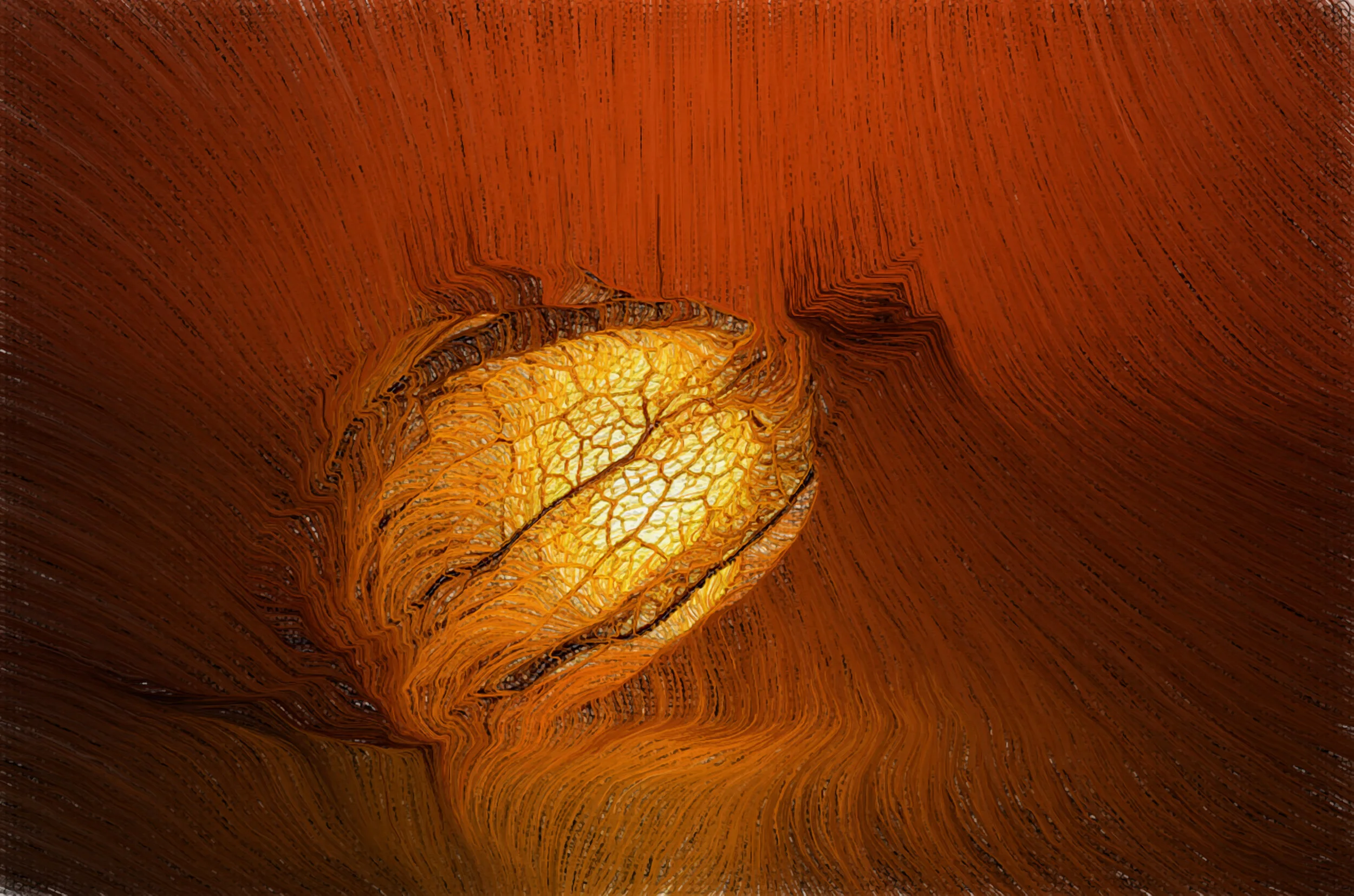 embryo.jpg