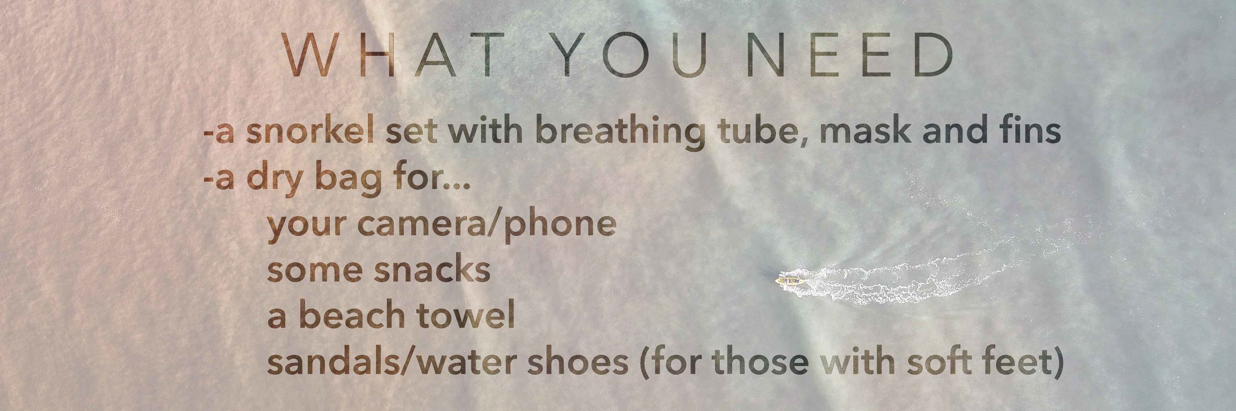what you need.jpg