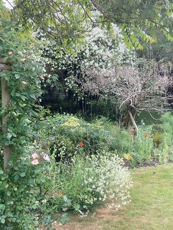 June in the Cathedral Gardens 🌸🐝🌳

#canterburycathedralgardens