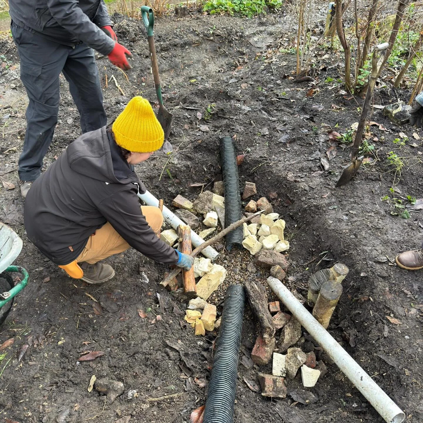 Hibernaculum build at Canterbury Cathedral Gardens 🪵🪨

After redundant electrical ducting was removed, we were left with a deep cavity. Rather than backfilling it, we used the disturbance as an opportunity.

A gravel base improves drainage, pro