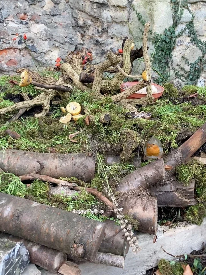Stacked pallet habitat 🍂
Shelter at many scales
Robin approved