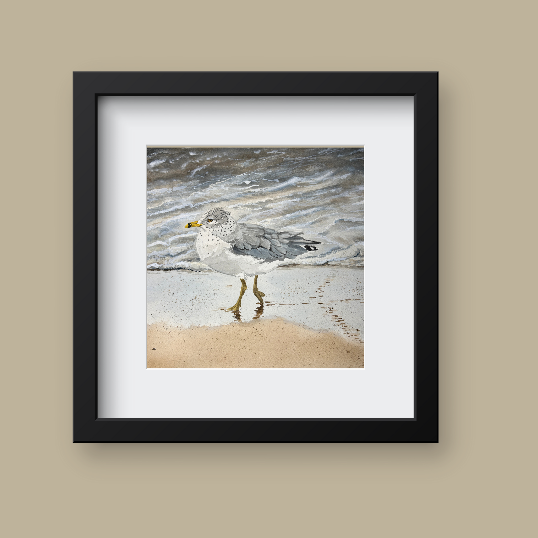 Ring-billed Gull #1  Art Print