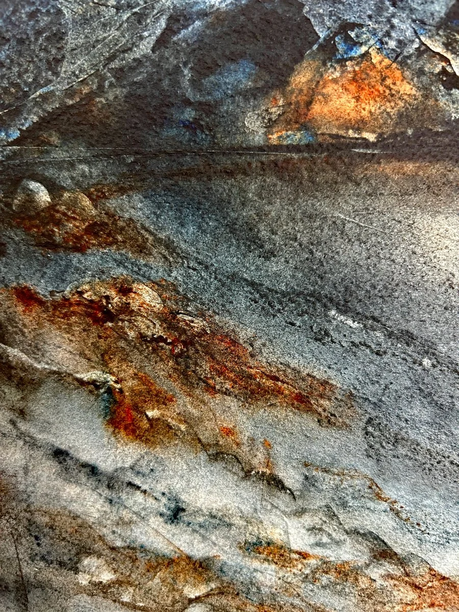 2023WildWildernesscloseuptexture.jpg