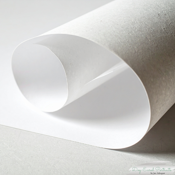 print paper model.png