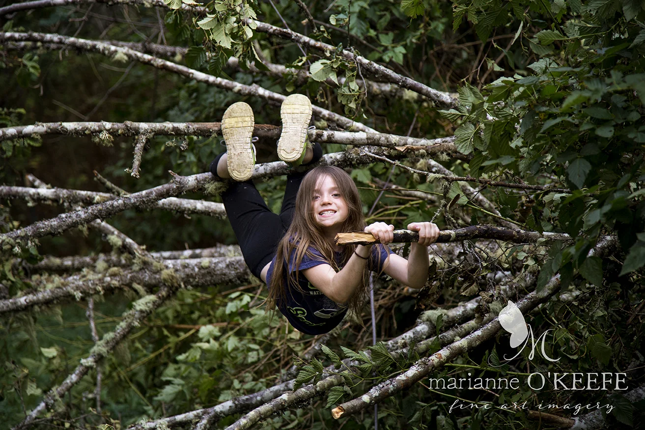 25Tree1_natalie.jpg