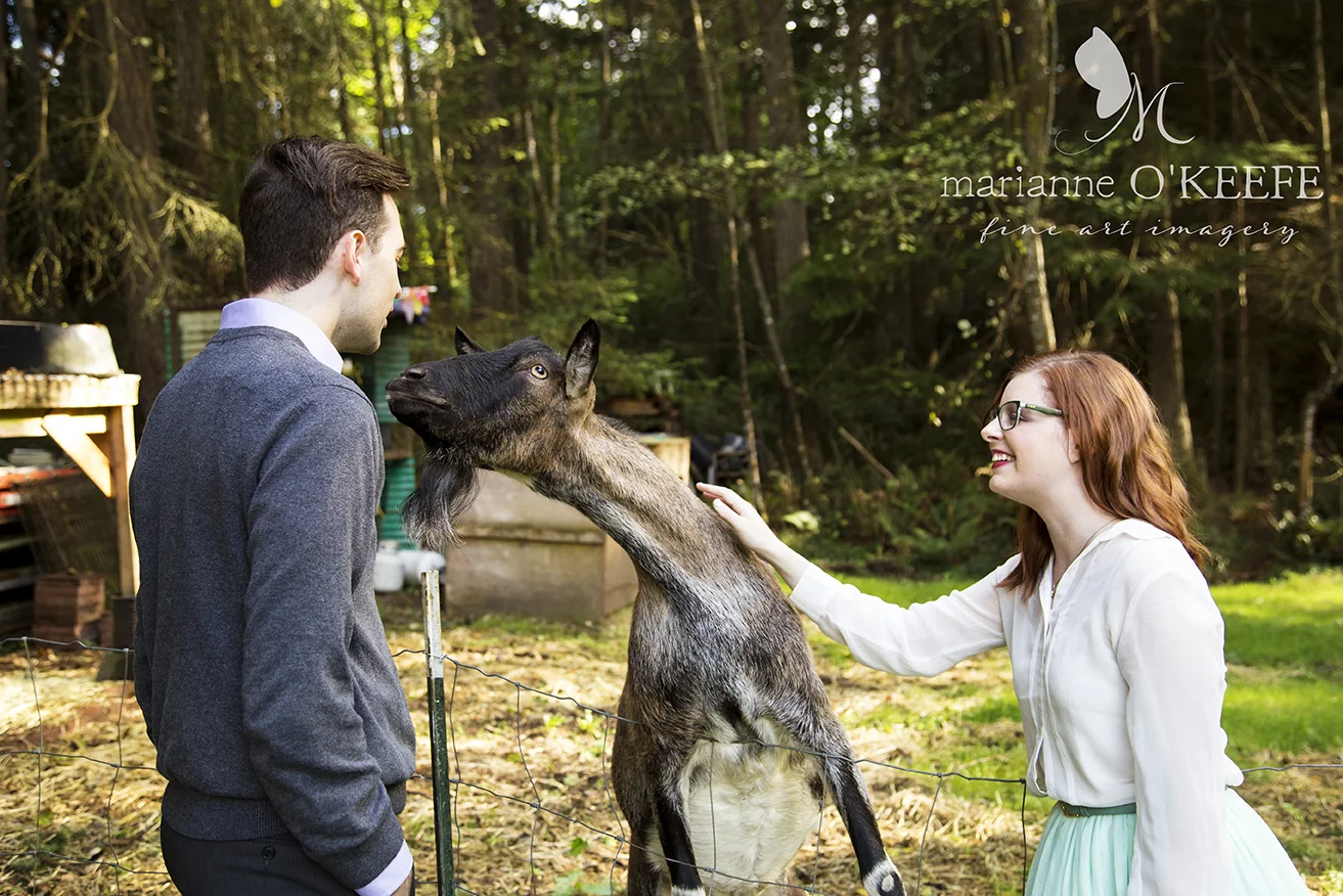2D&WEngagementParty12_goat.jpg