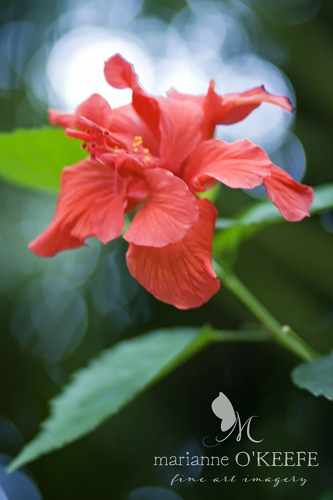 16zoo25_flower.jpg