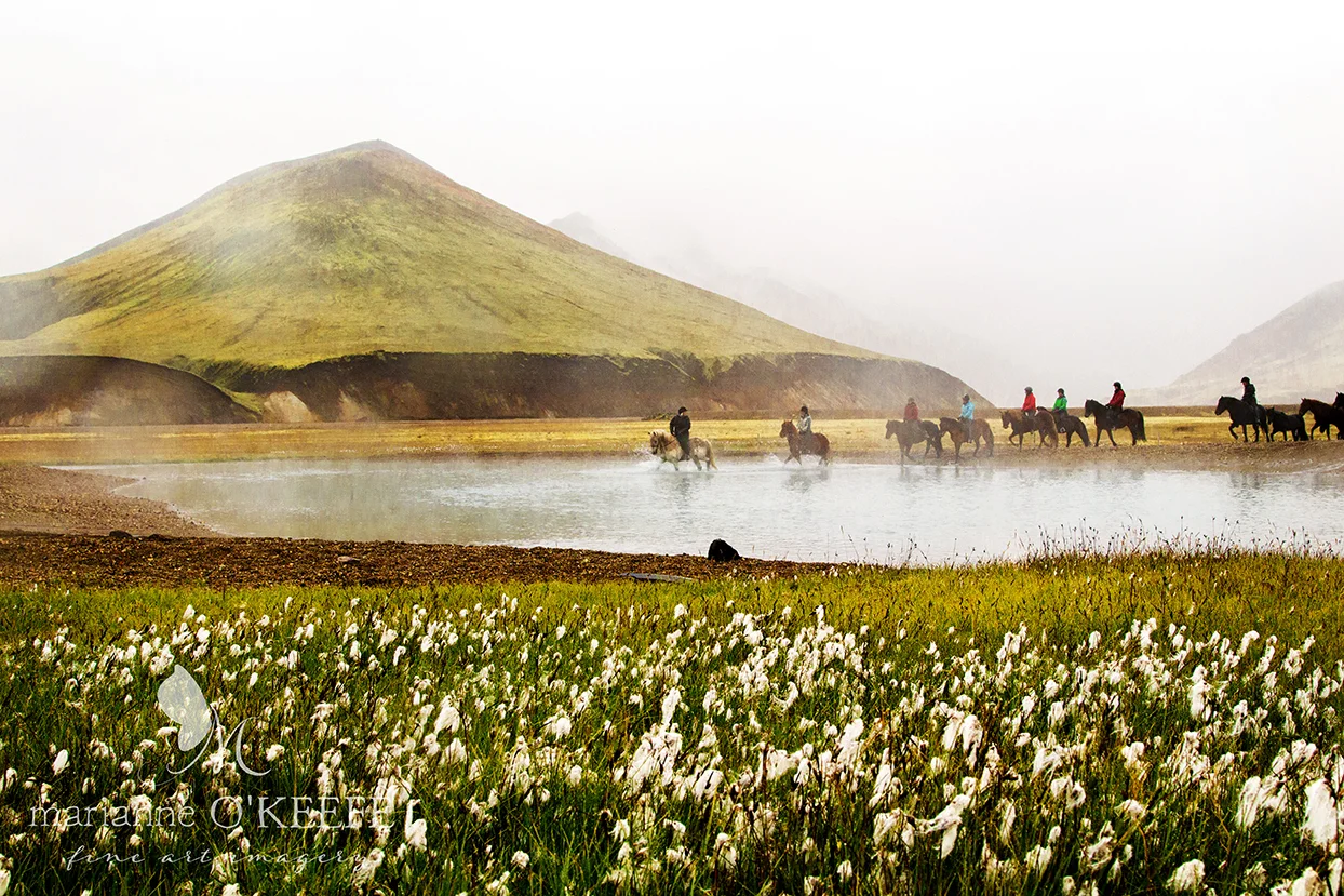 3Iceland135_landmannalauger.jpg