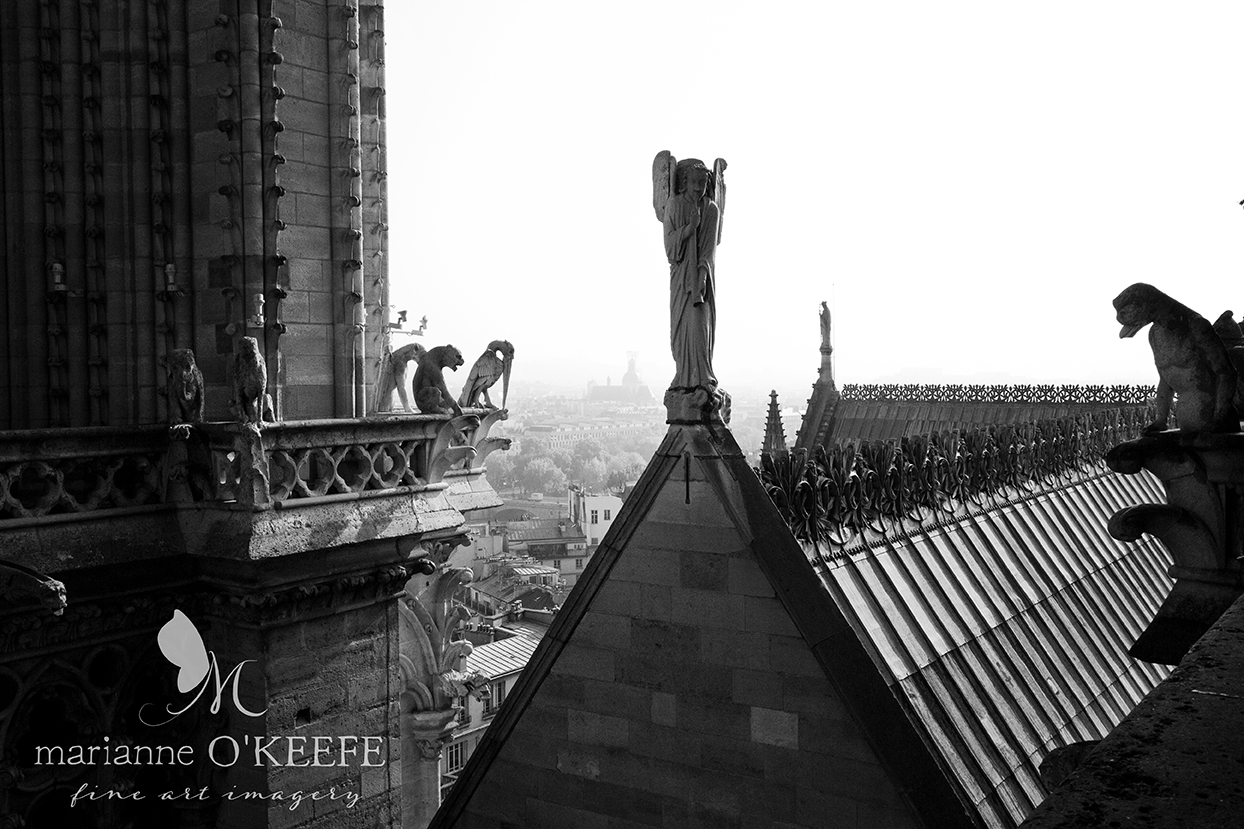 11France24_gargoyles_b&w.jpg