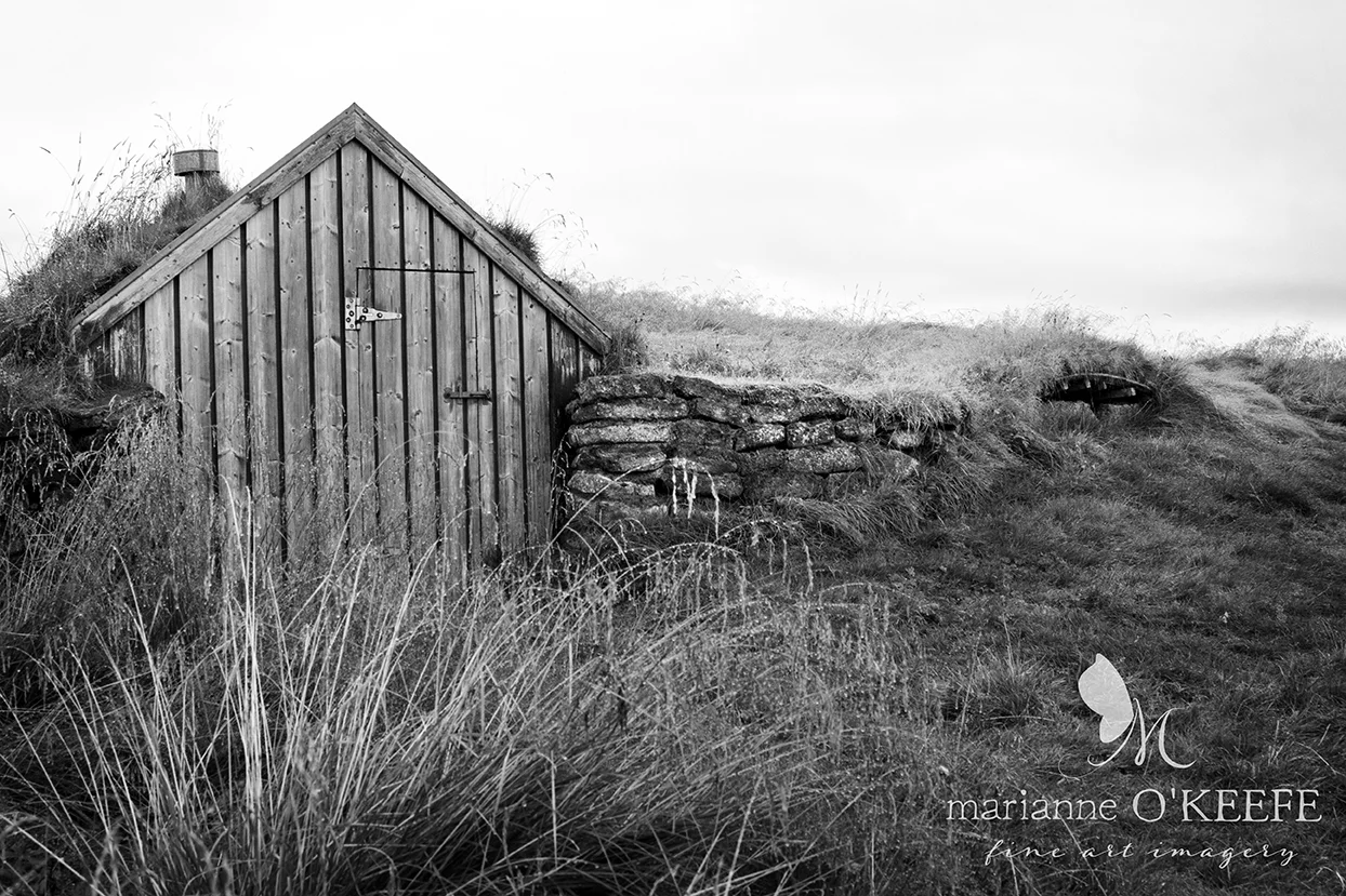 25Iceland148_turf_b&w.jpg
