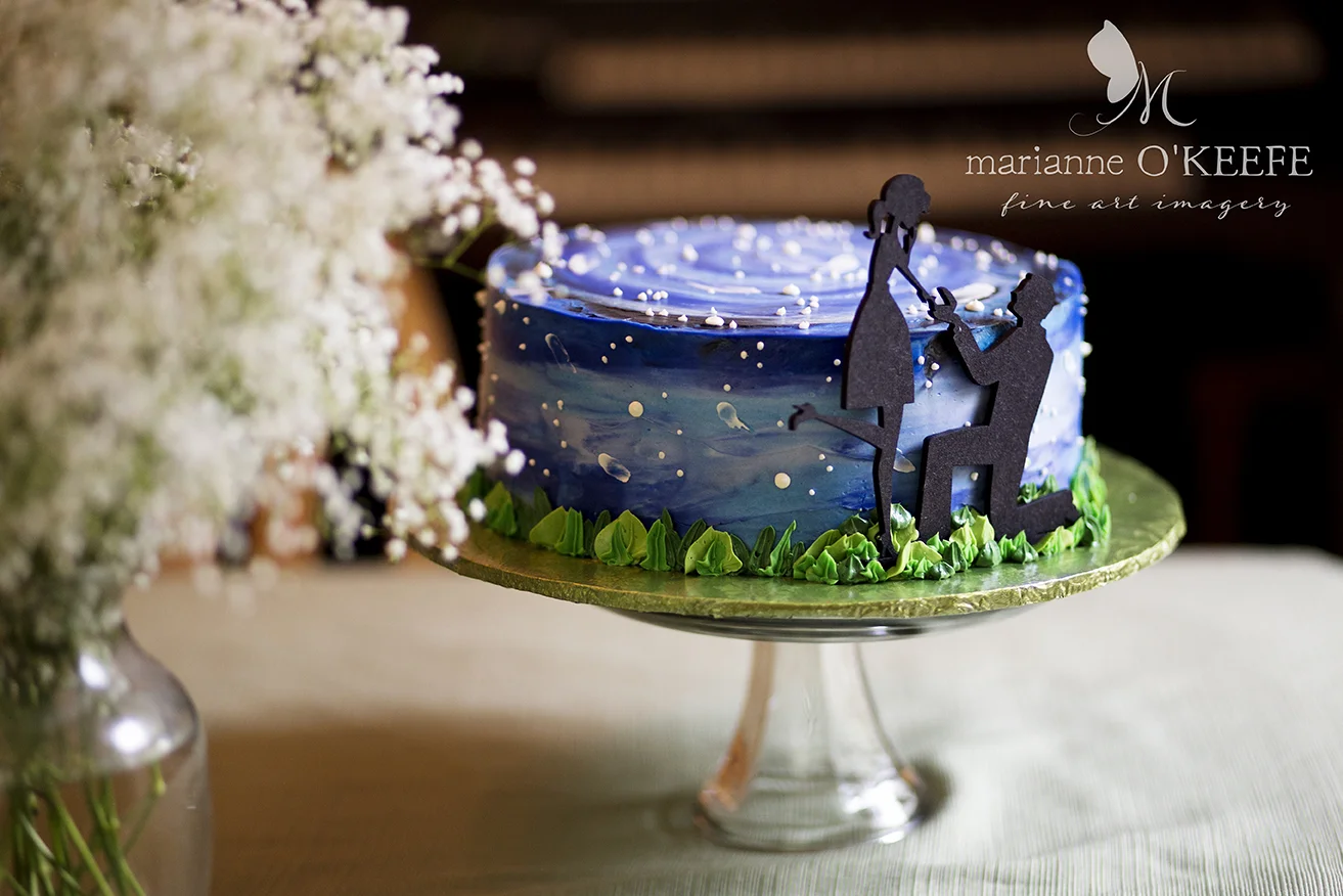 24D&WEngagementParty3_cake.jpg