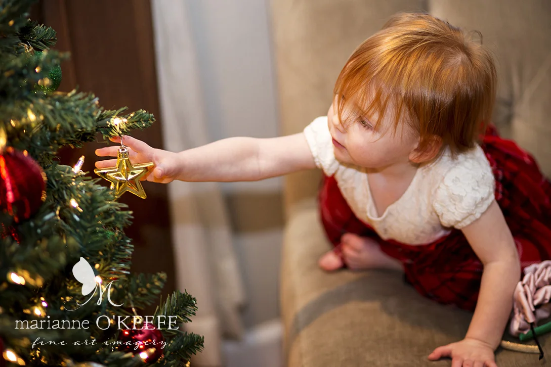 Annabel12_tree_crop.jpg