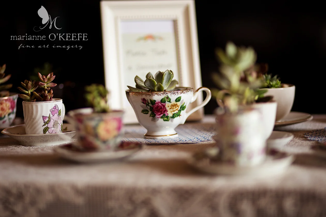 Annie'sShower15_succulents_web.jpg