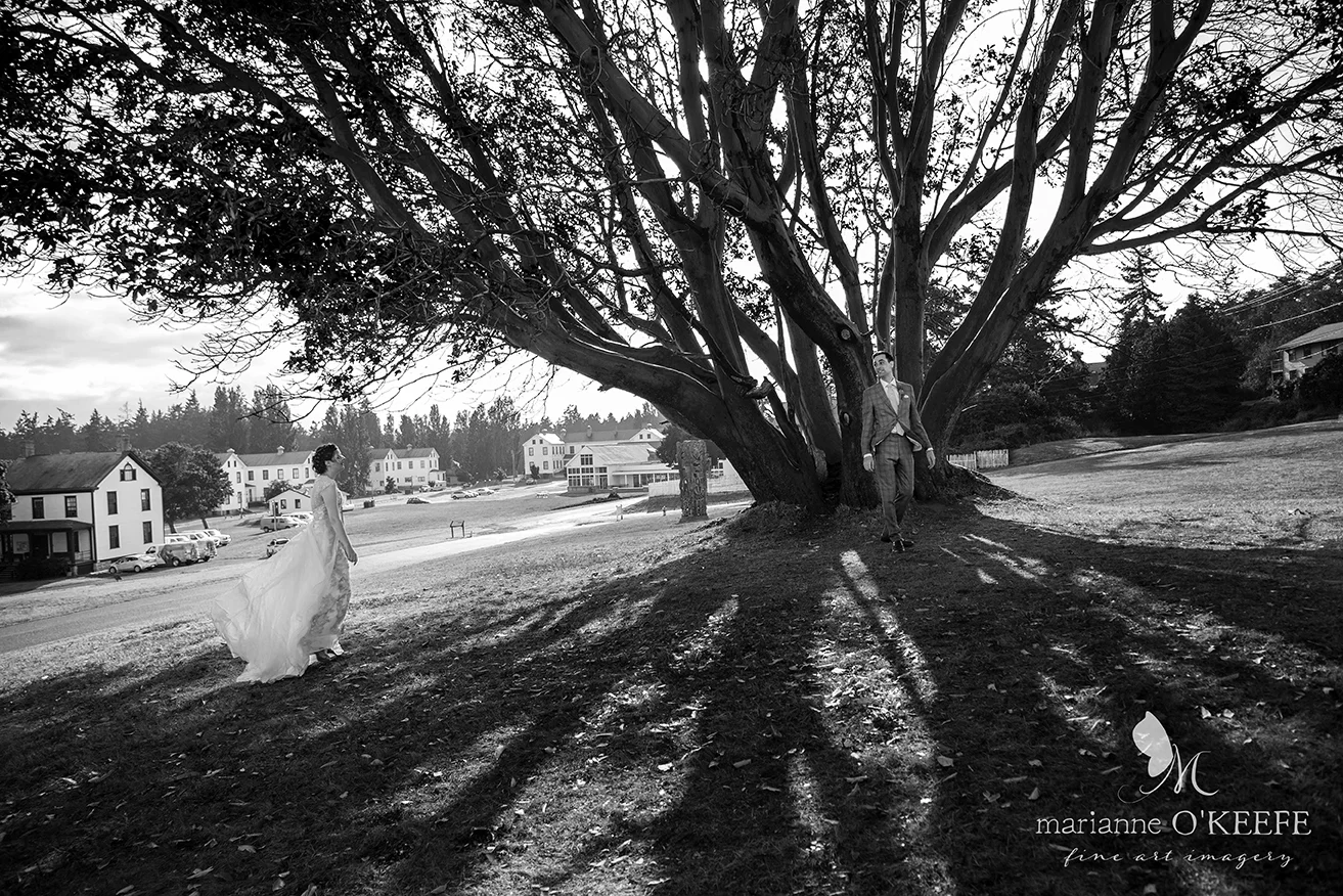 D&W4_firstlook_b&w_web.jpg