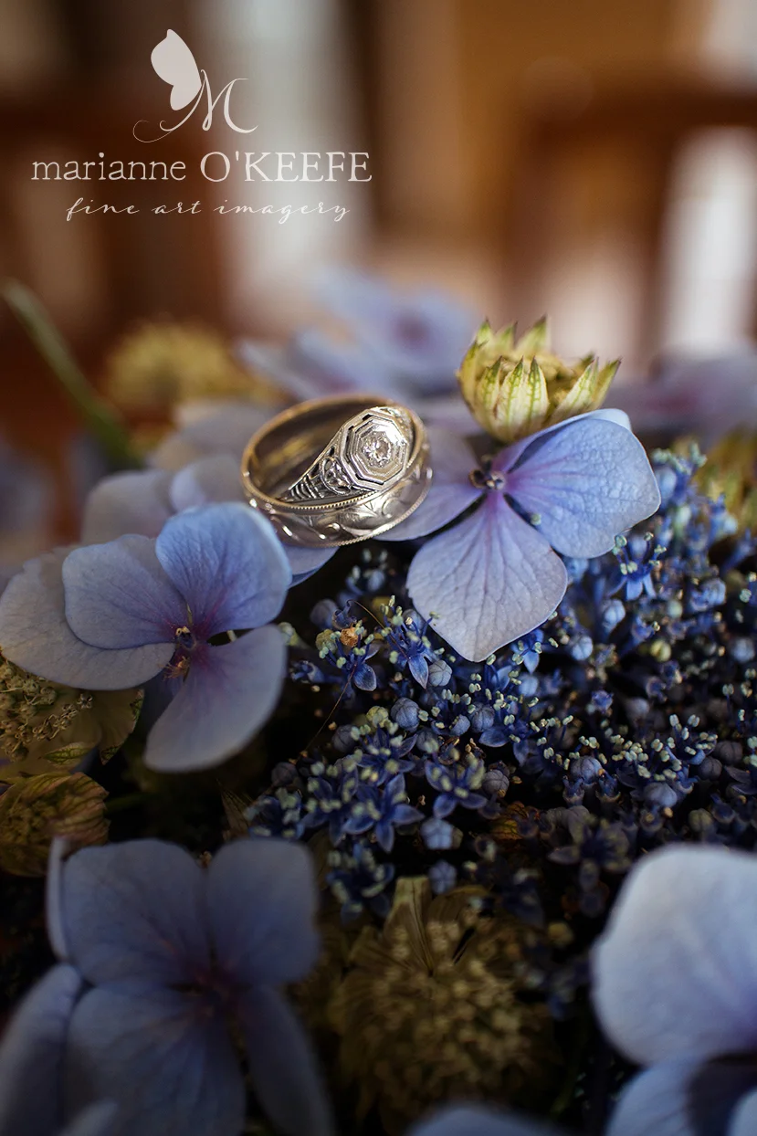 D&W14_rings_web.jpg