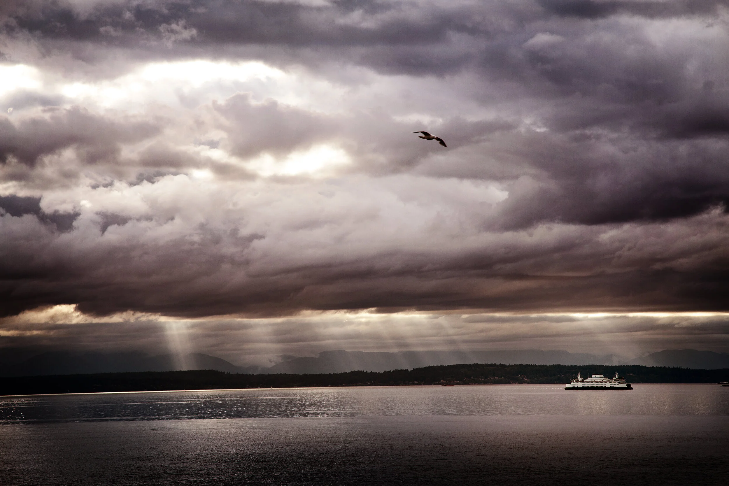 Seattle1_edit.jpg