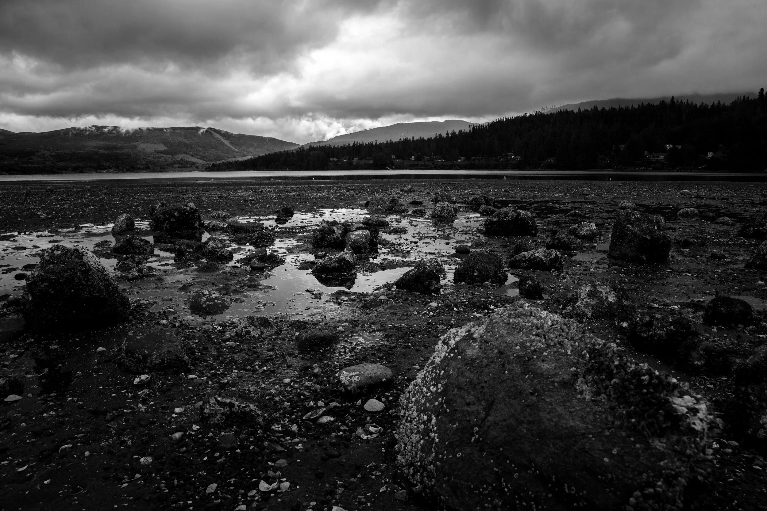 Sequim2_crop_b&w.jpg