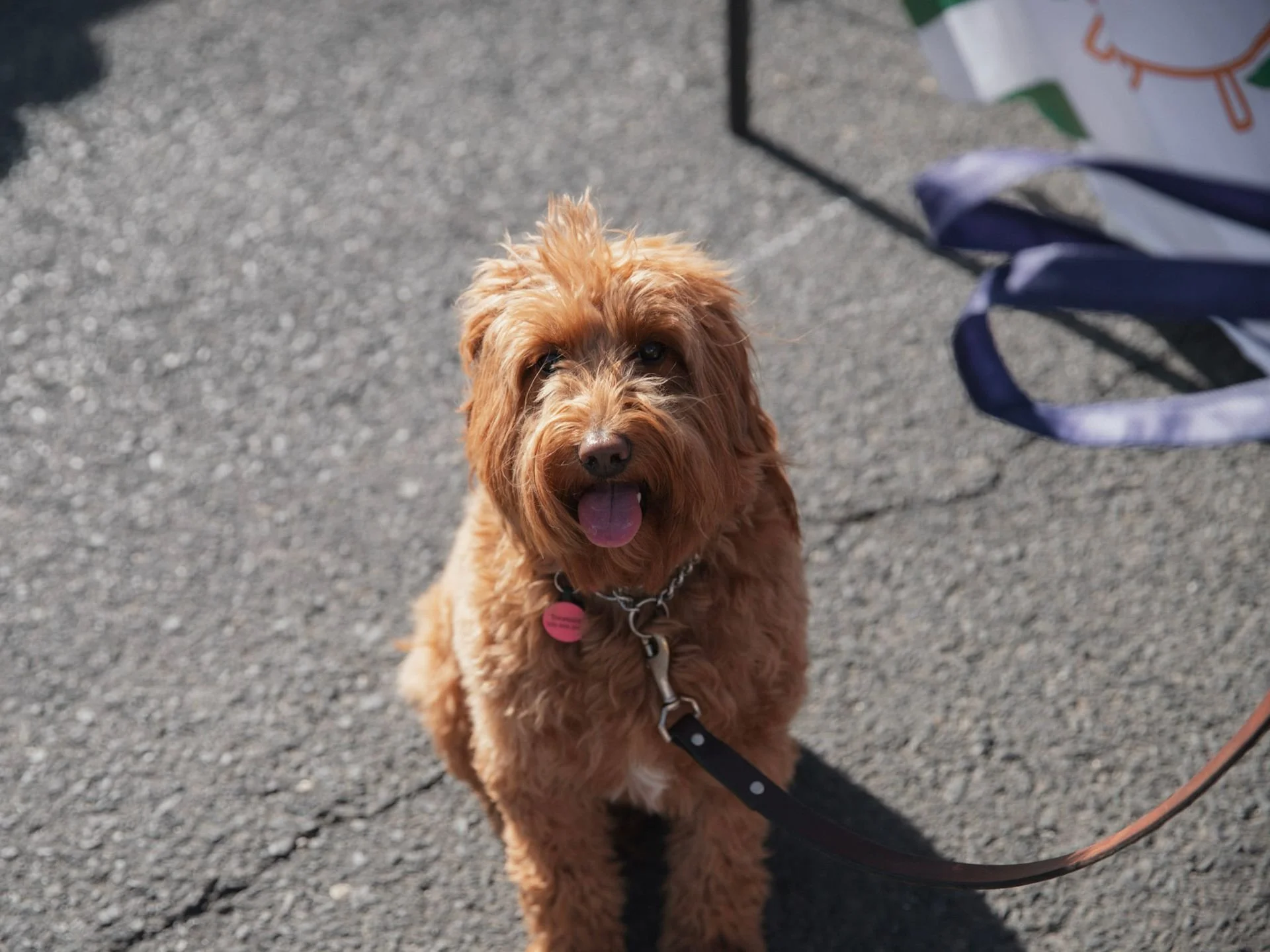 Attached Parking Add-On