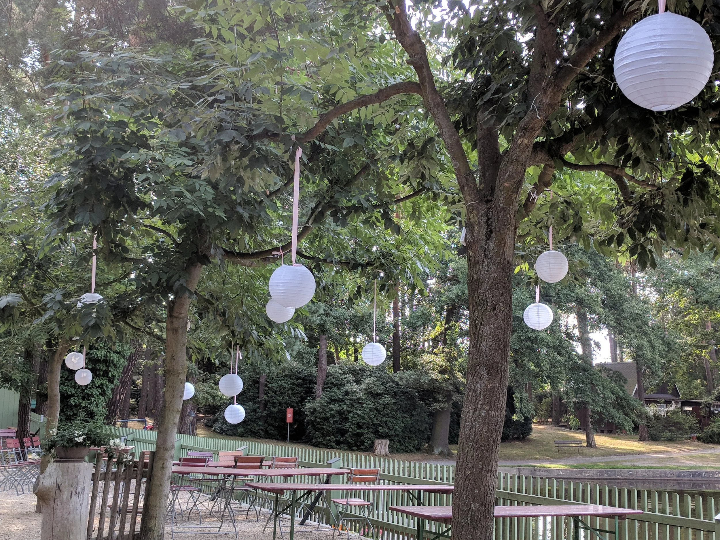 IMG_20180721_094206.jpg