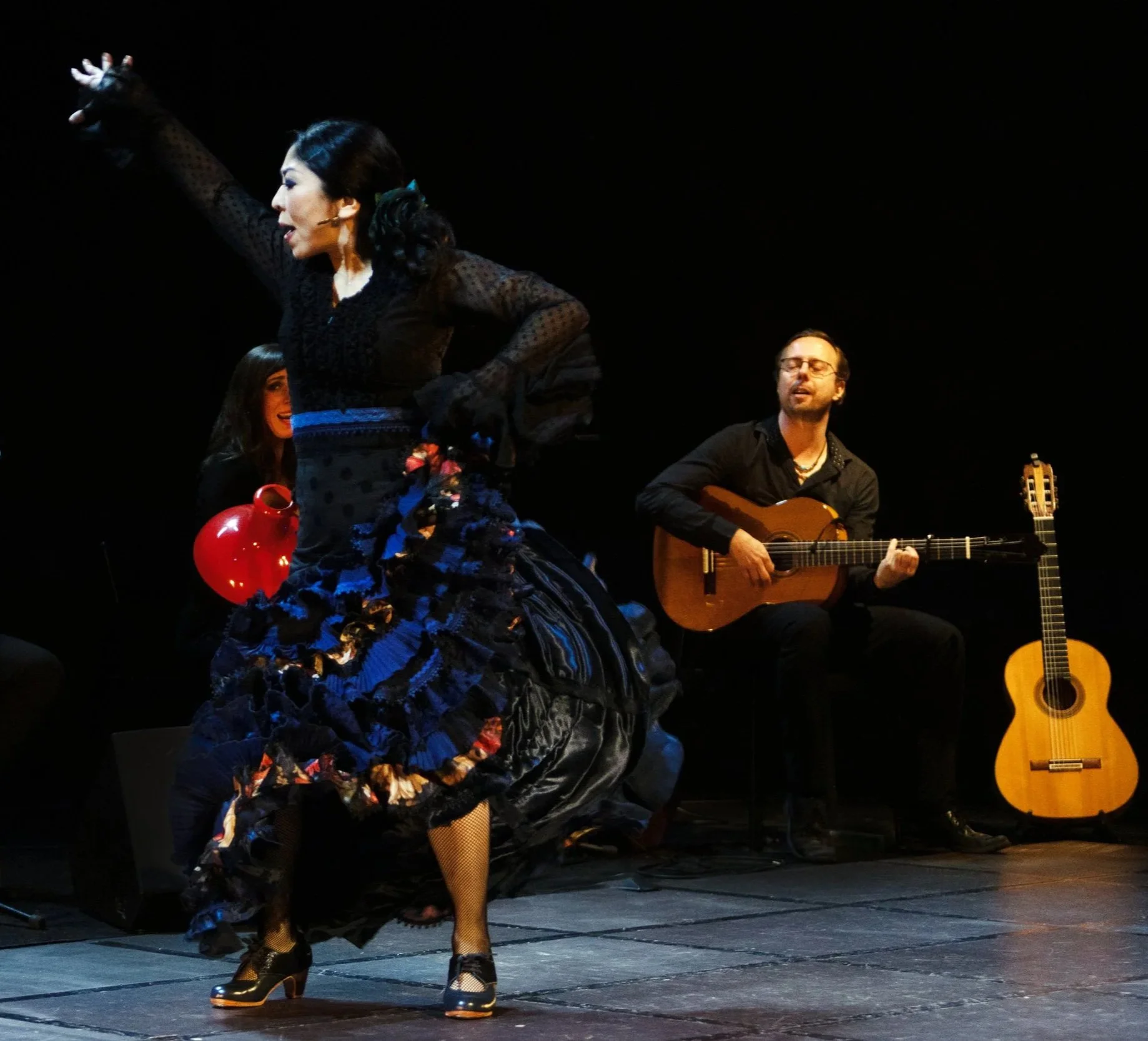 PASIÓN FLAMENCA
