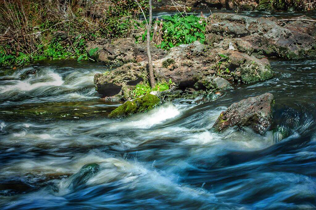 Hillsborough River 2/27/2016