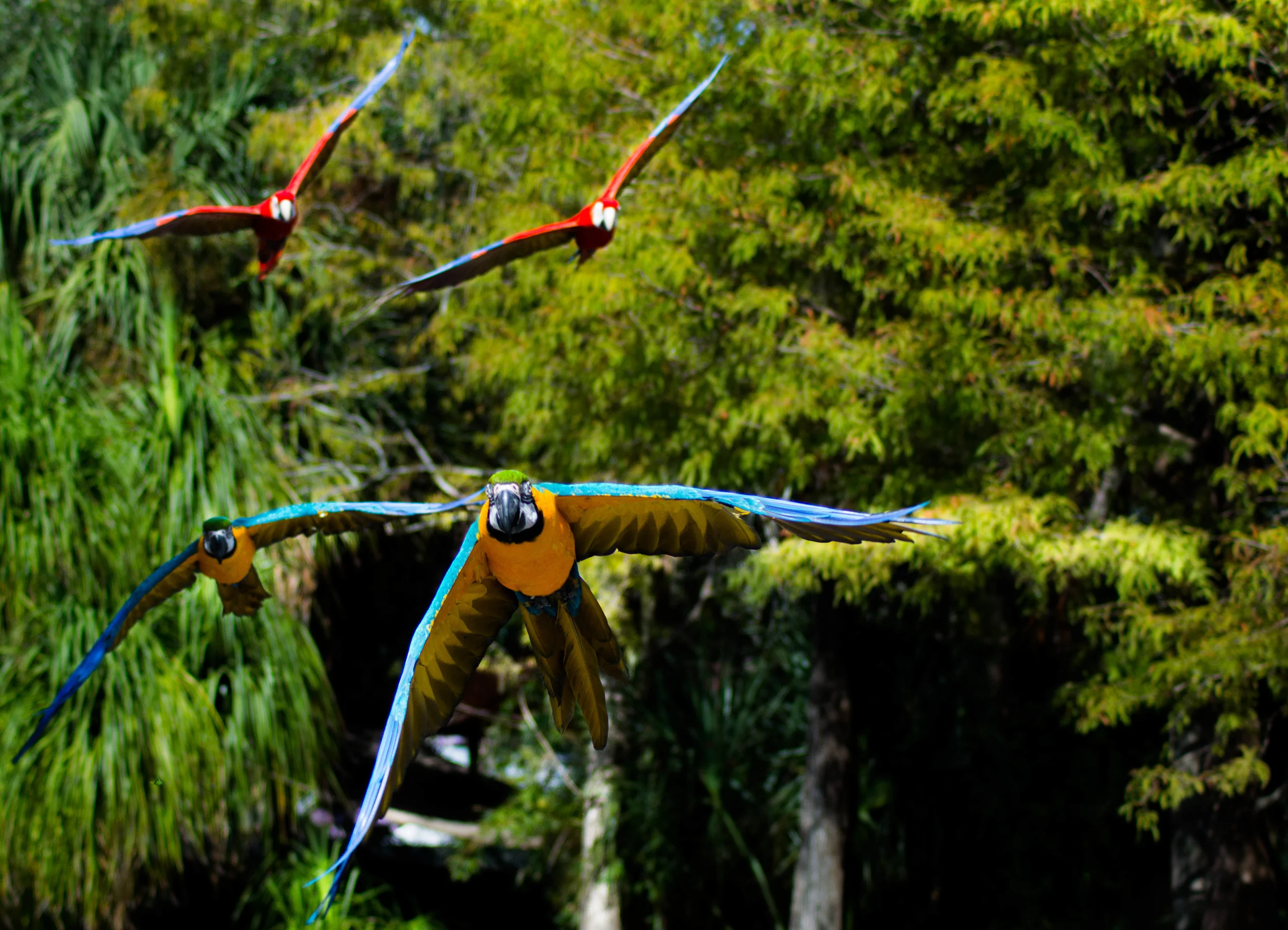 DSC_0330.jpg