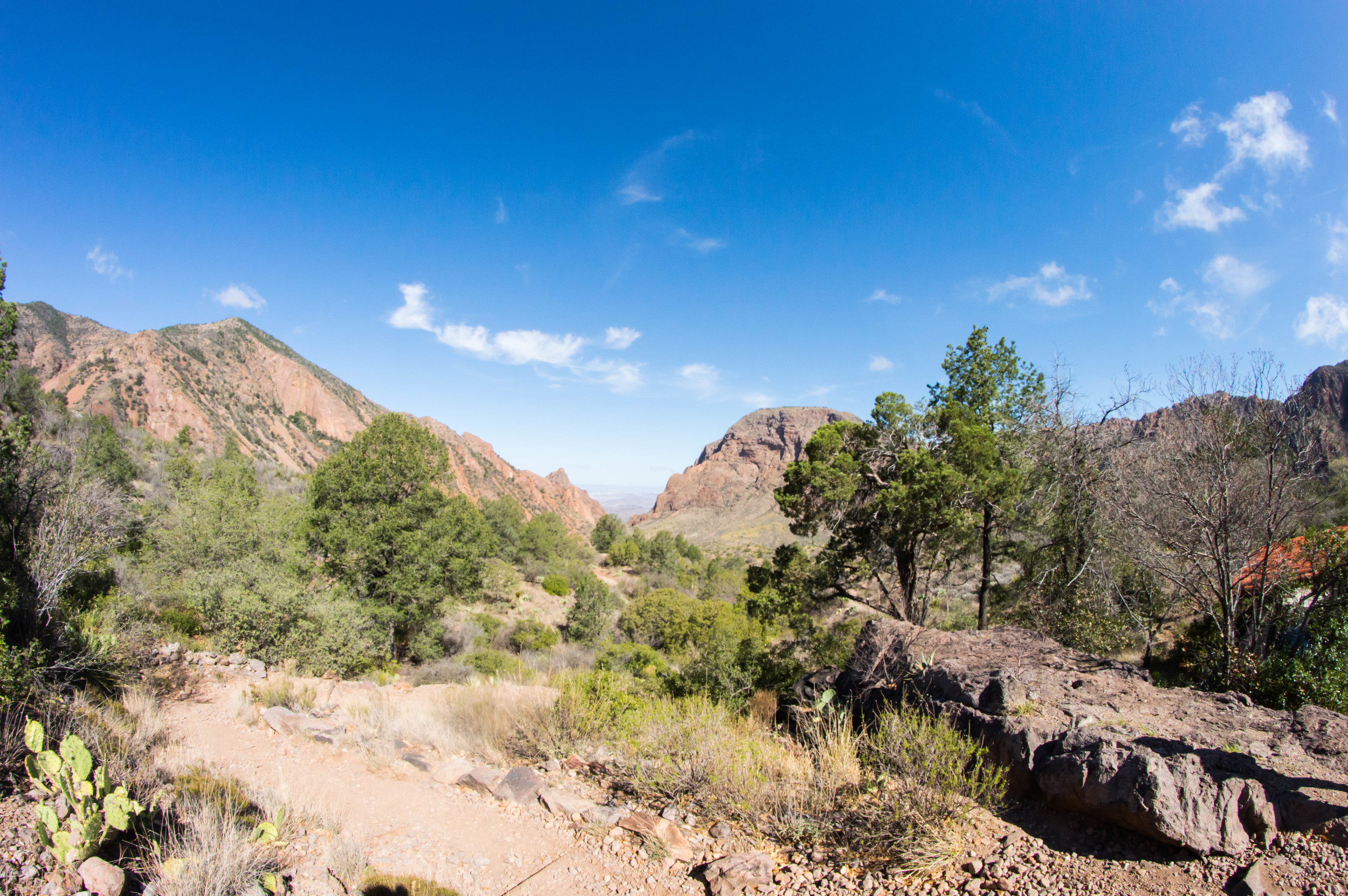 Hiking-7.jpg