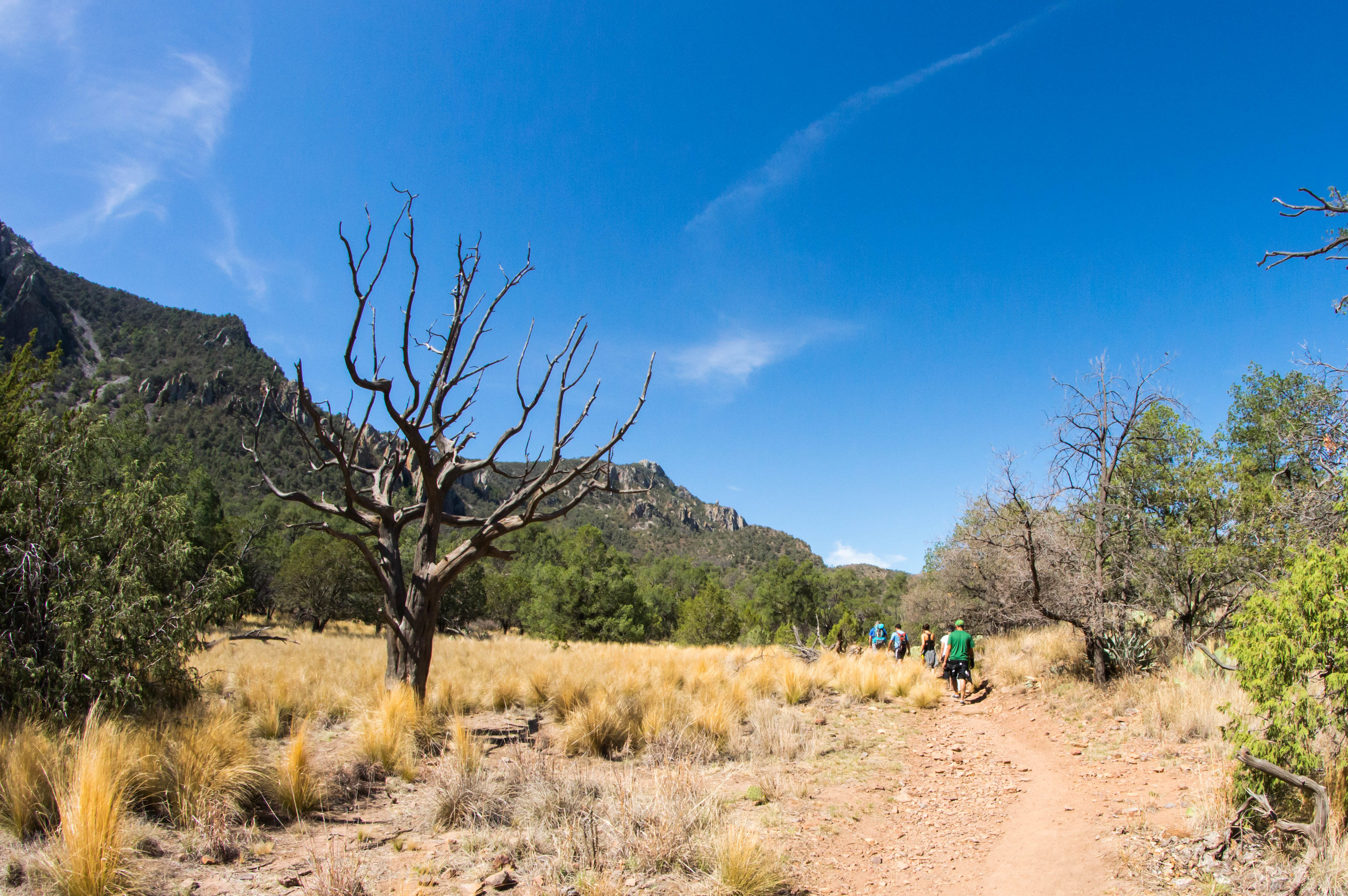 Hiking-10.jpg