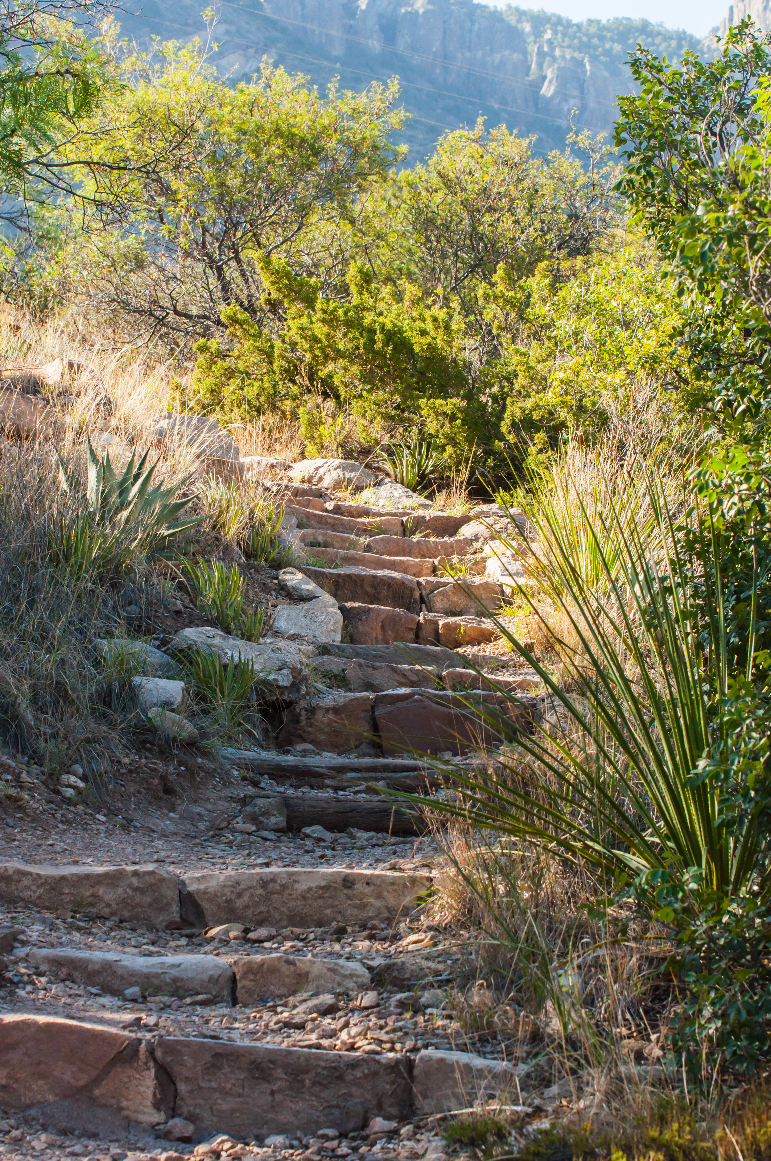 Hiking-27.jpg