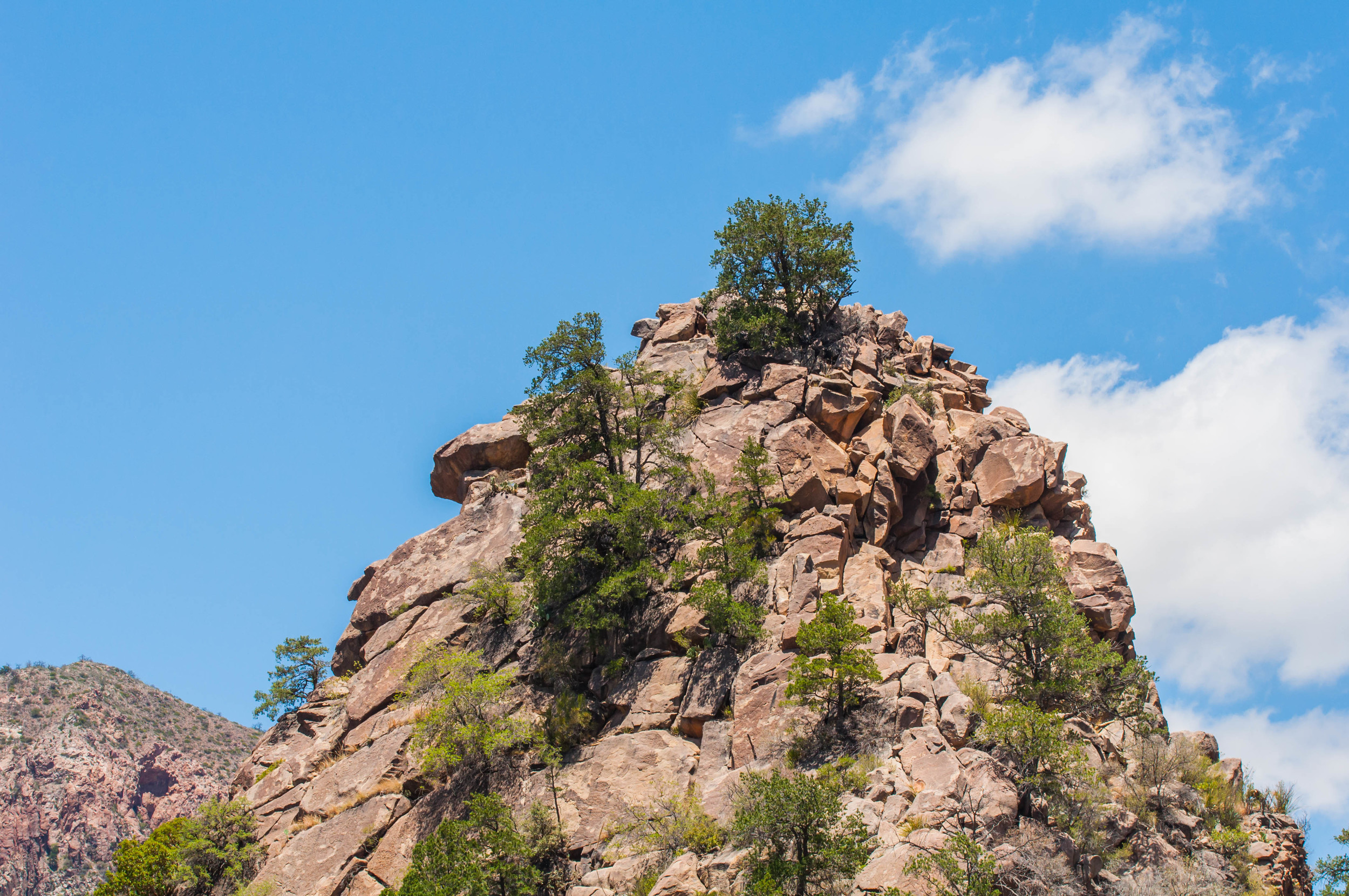 Hiking-37.jpg