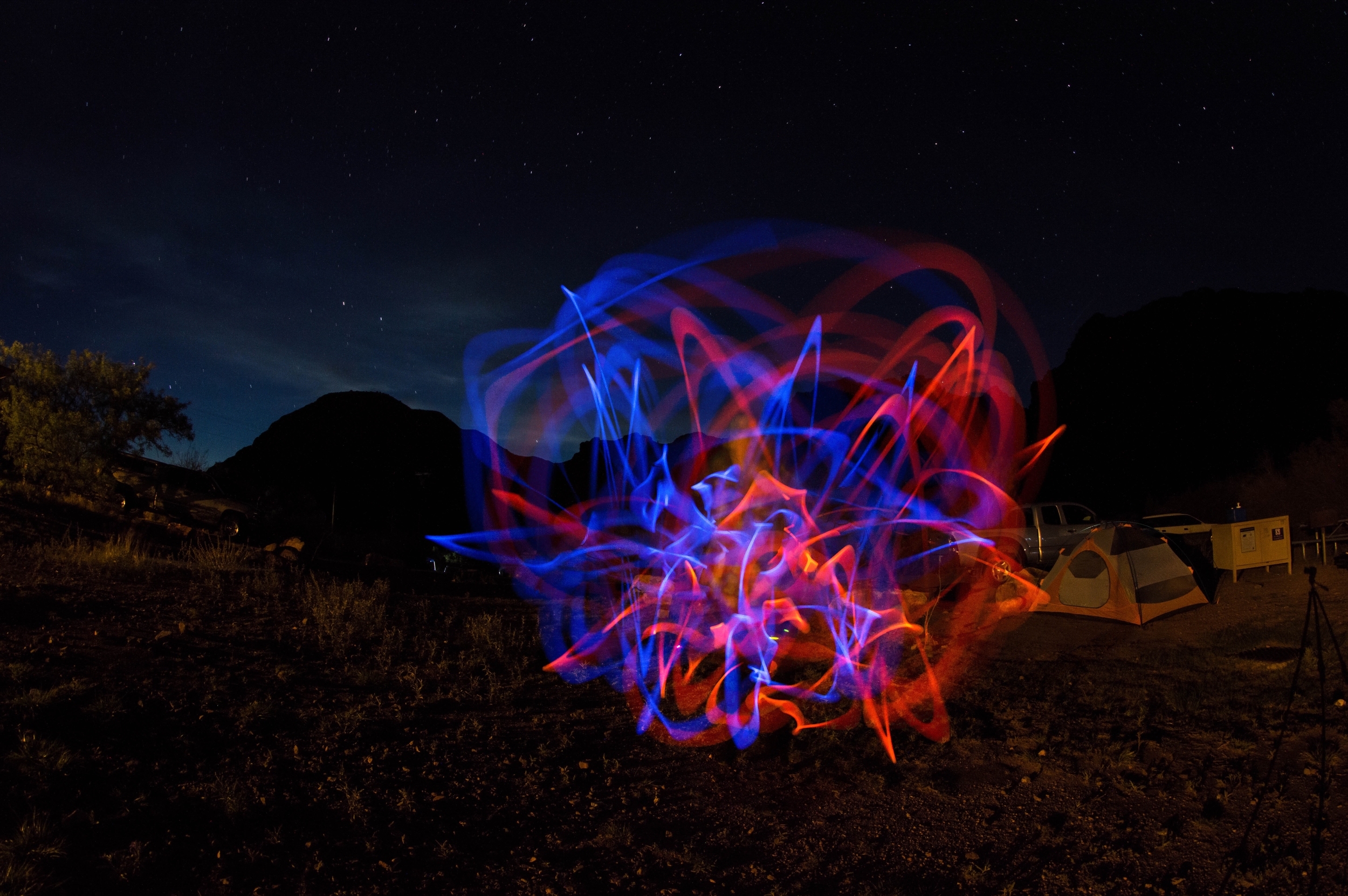 The Electric Rose