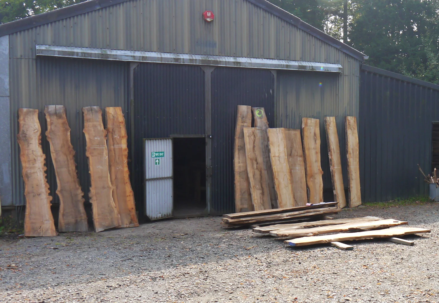 Selecting timber
