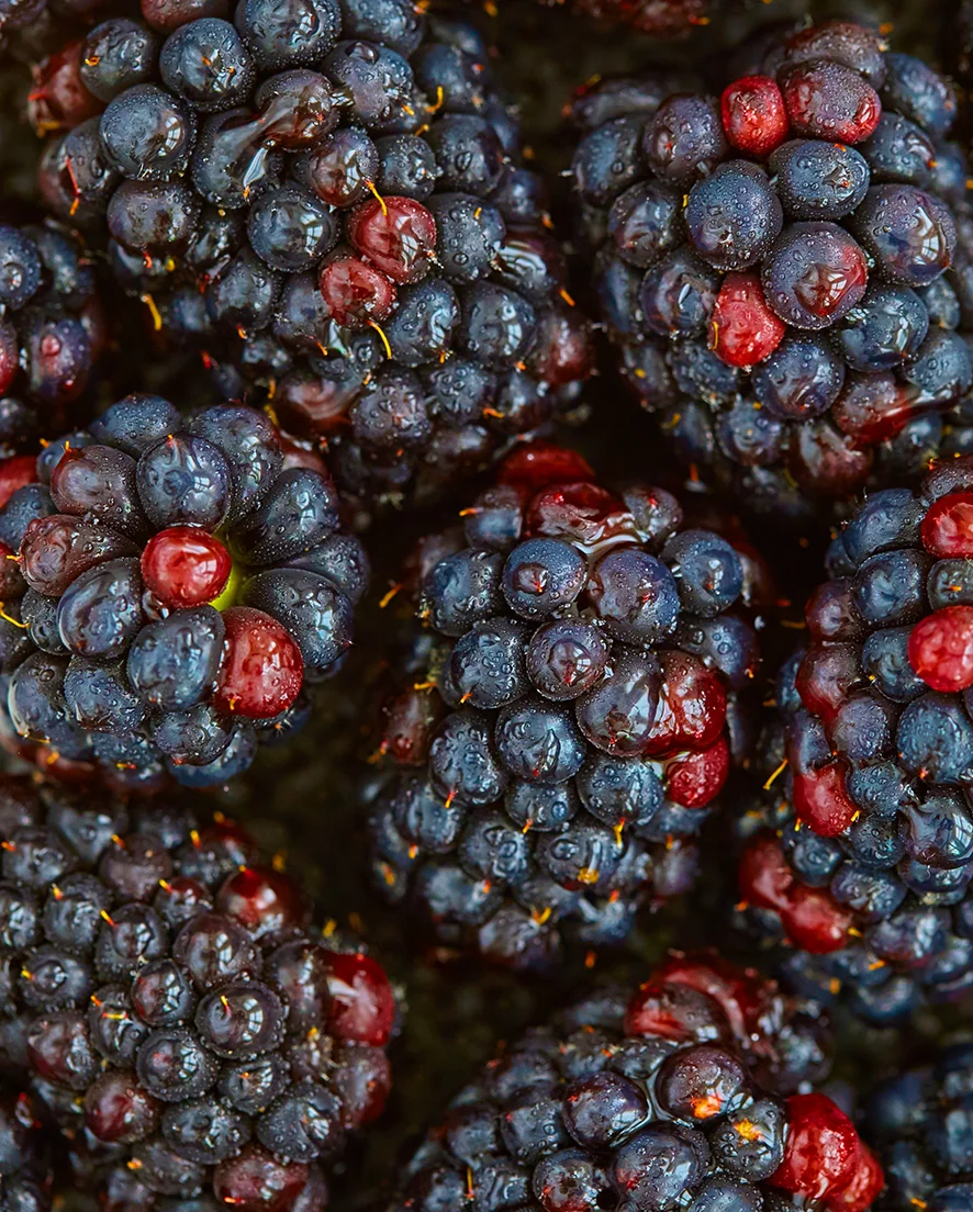 Blackberrys.jpg