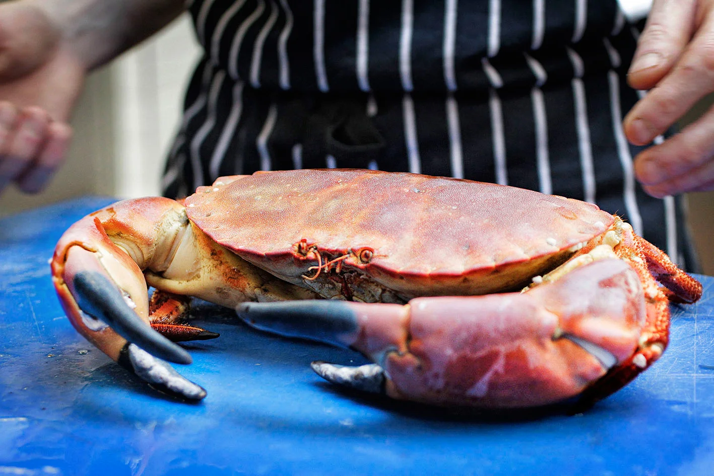 MrCrab-Kitchen.jpg