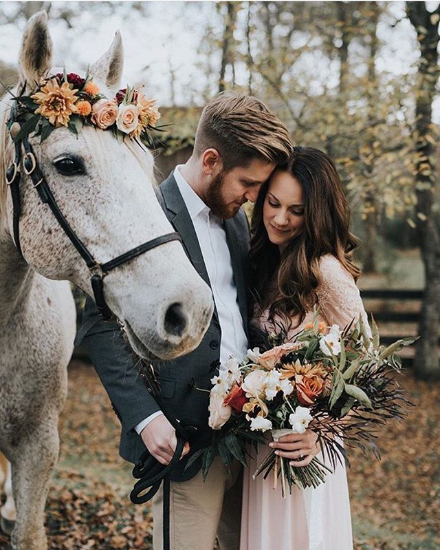 True love and an equine friend, what more could you want on a beautiful fall day 🍂 photo @thetinsleyco