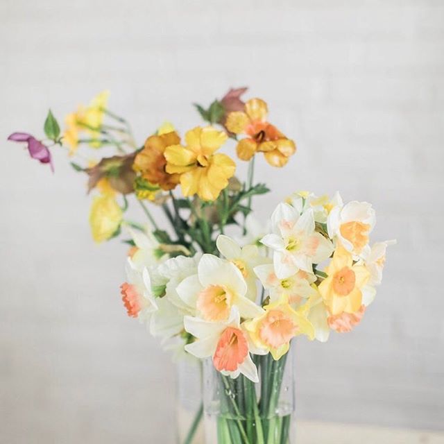 Sunshine on a cloudy day ✨ fresh flowers bring so much life and quiet joy into a space. Learn how to make your own floral arrangements at our spring workshops, link in bio y&rsquo;all 😎⠀
Photo @lindseylaruephoto