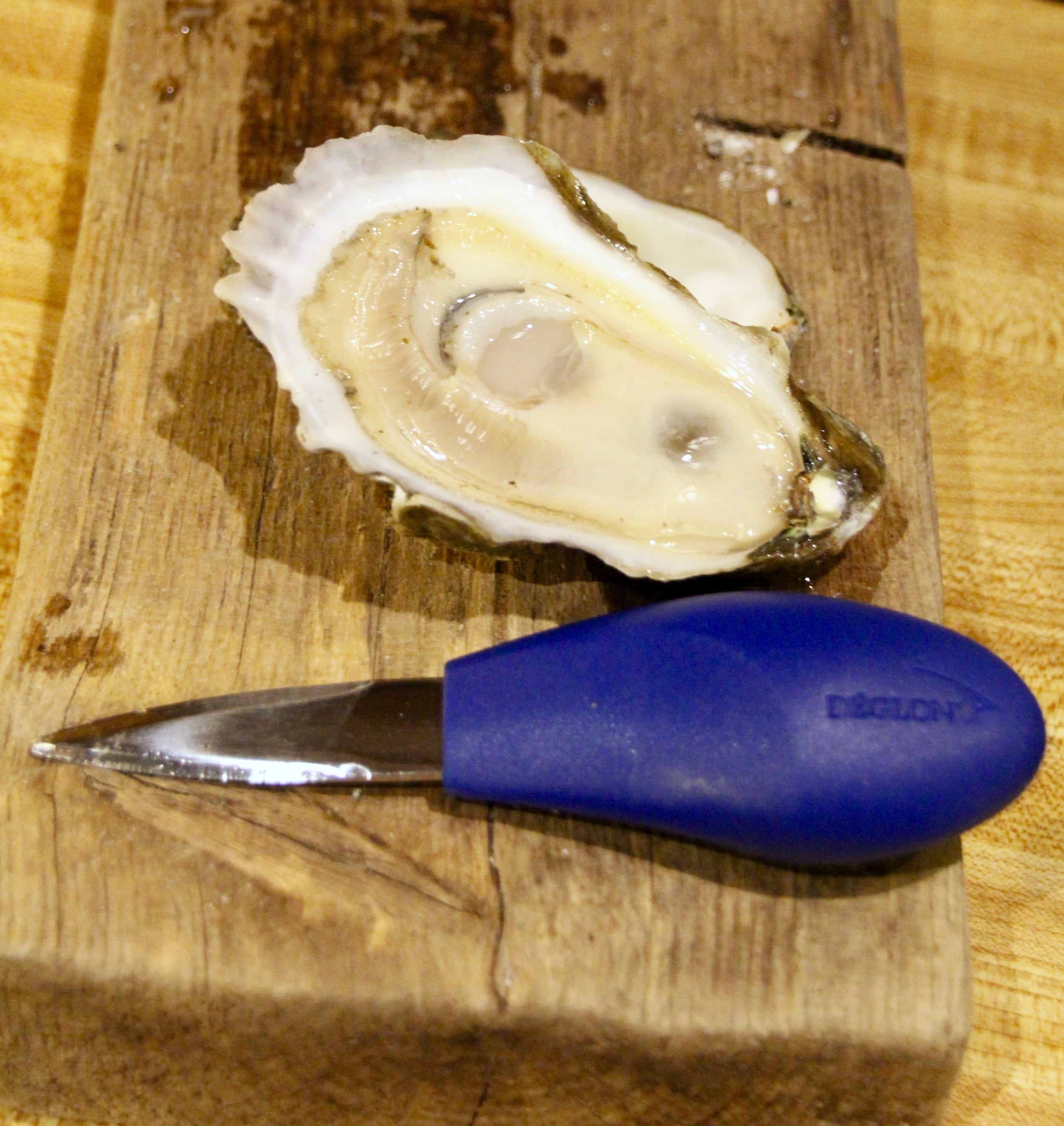French oyster knife review — Kate Livie, Chesapeake Writer