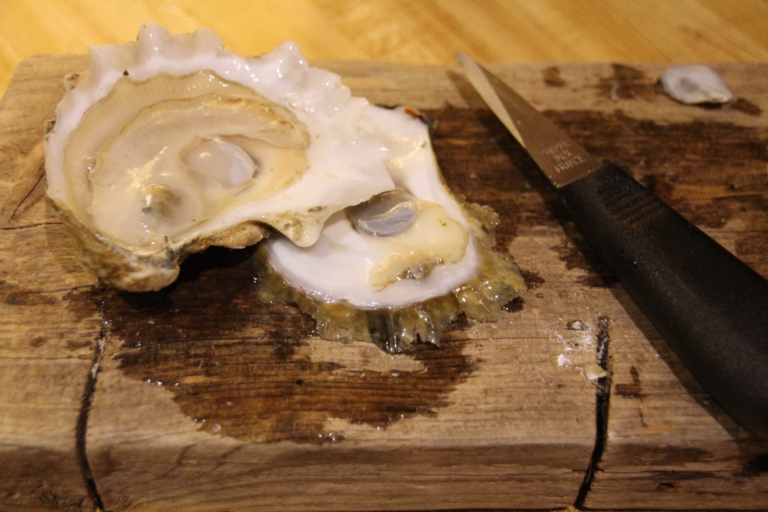 Featured image of post Deglon Oyster Knife 2 4mm the widest point knife weight