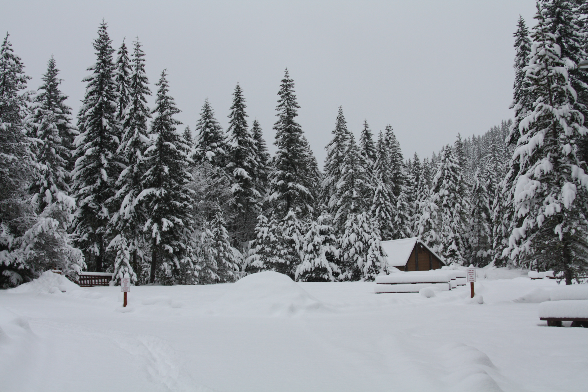The view from right outside our cabin.