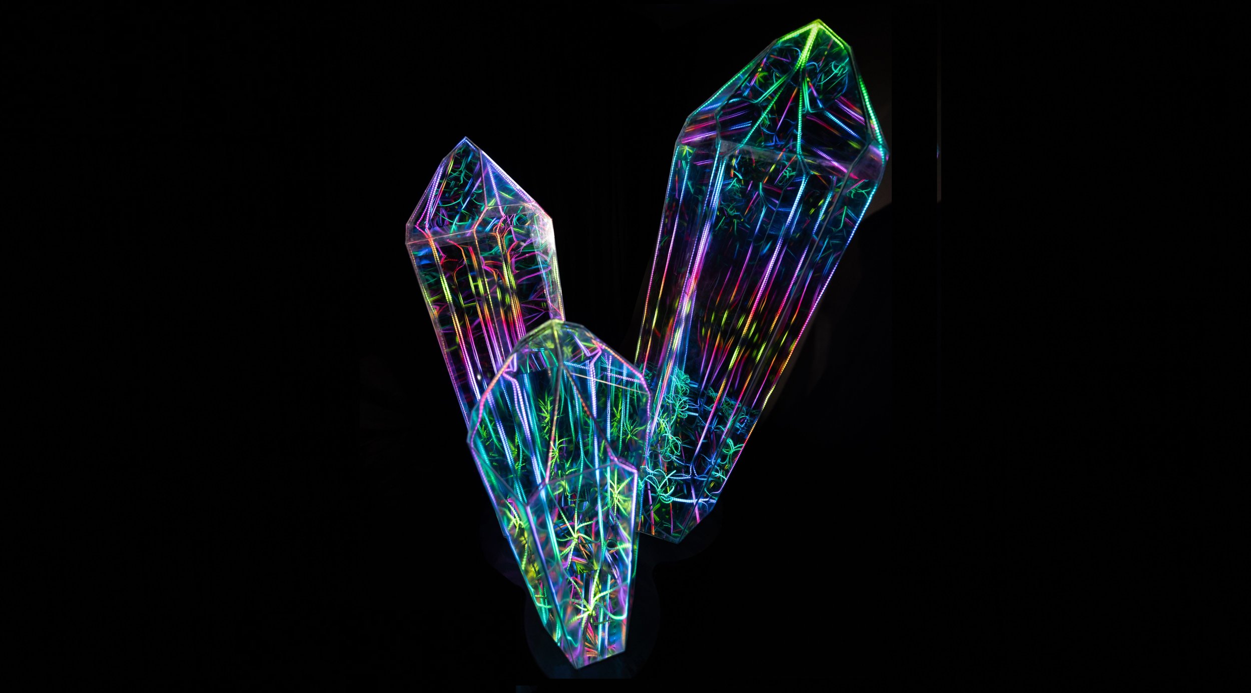 Volunteer! New Opportunities