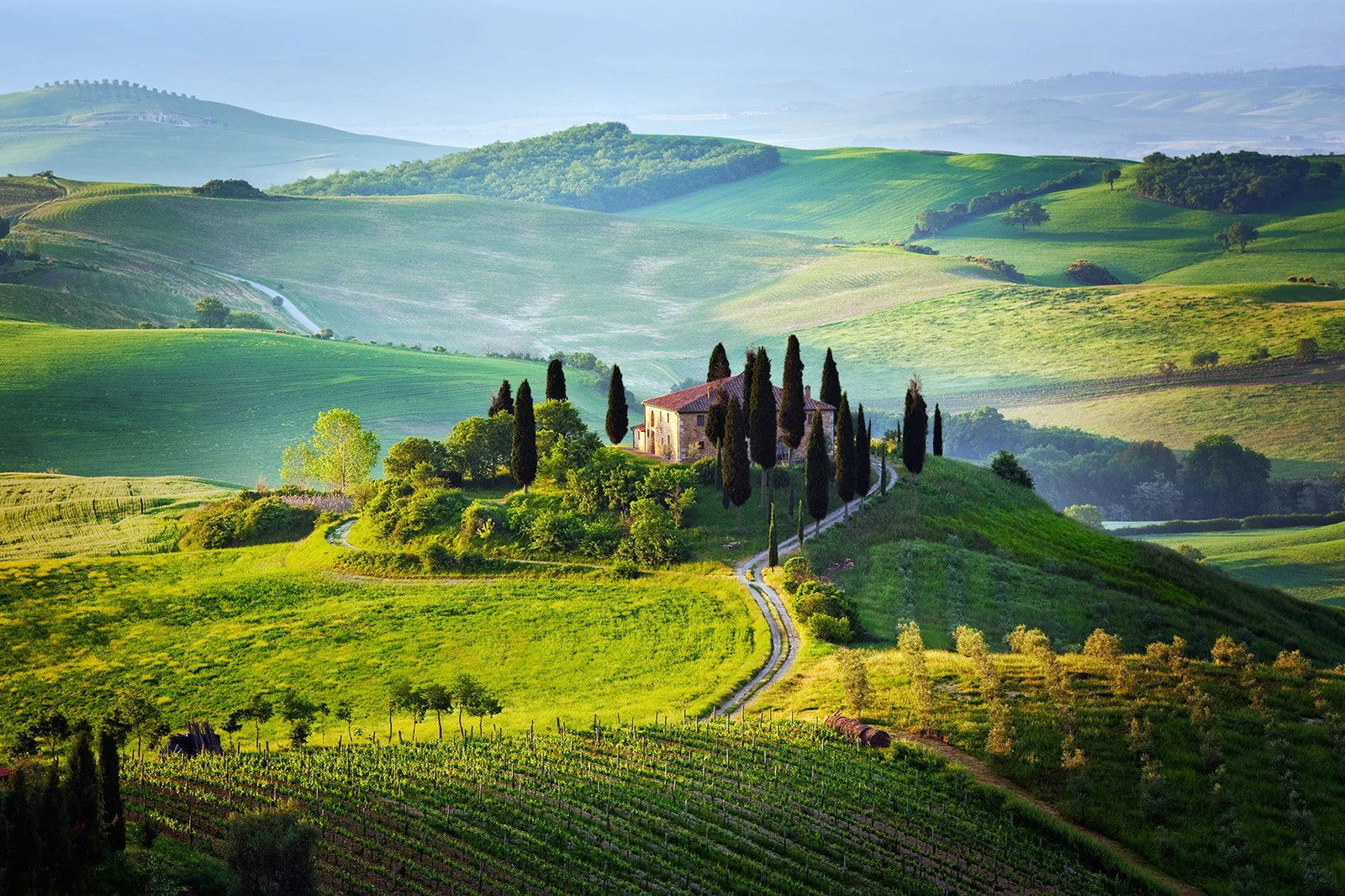 The Tuscan hillside.